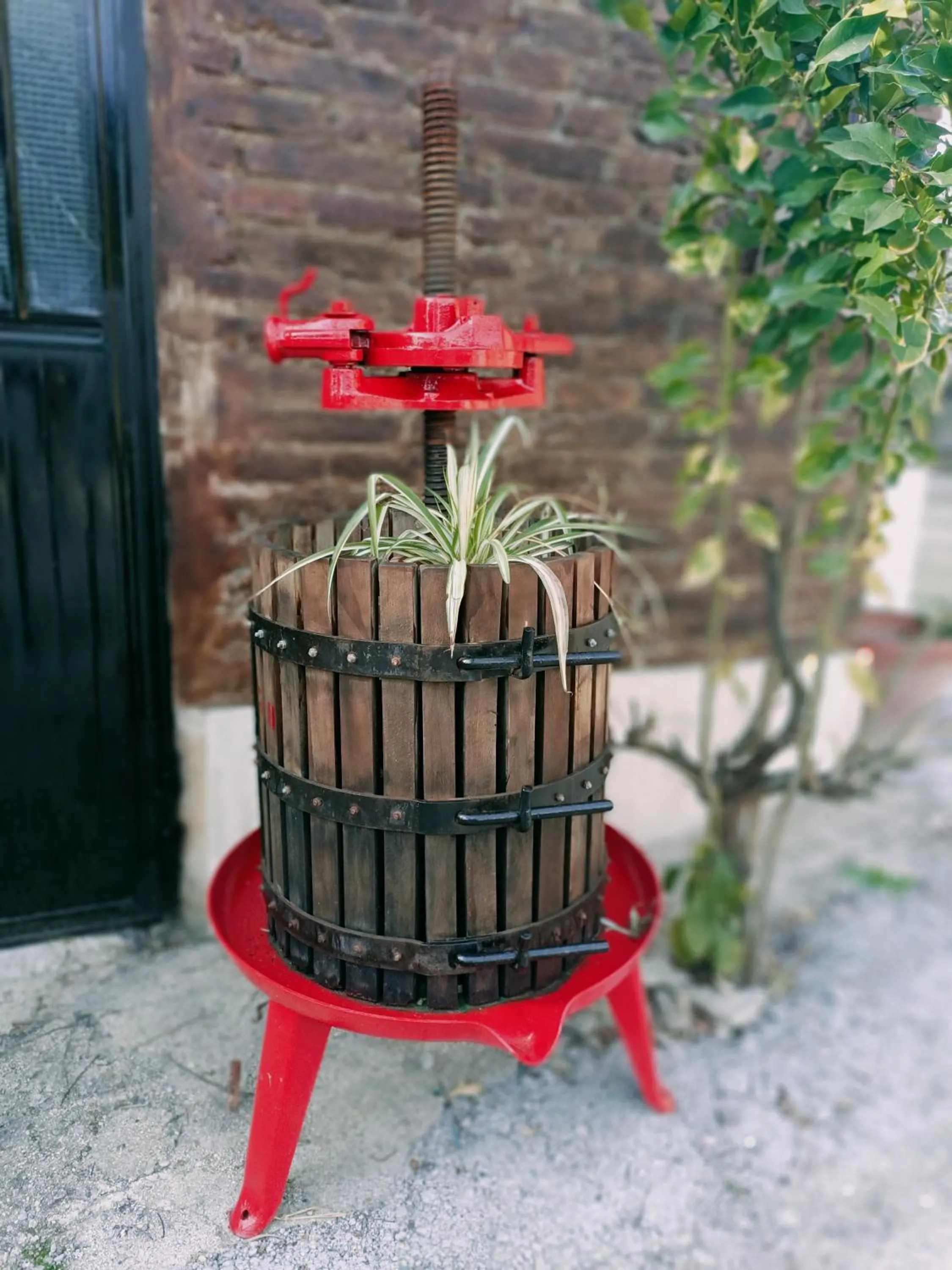 Decorative detail in La casa sul tetto, Room's & Glamping