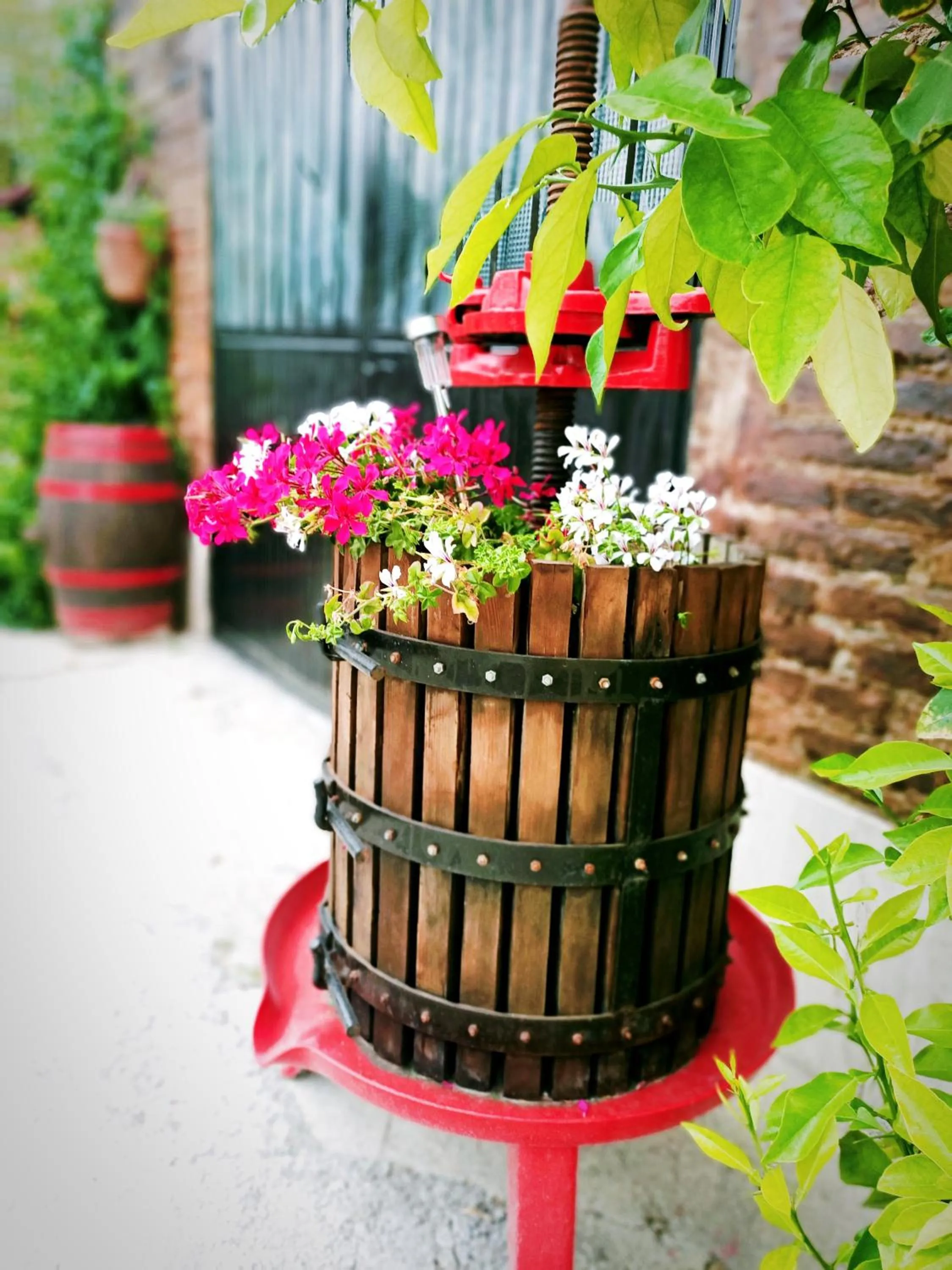 Day in La casa sul tetto, Room's & Glamping