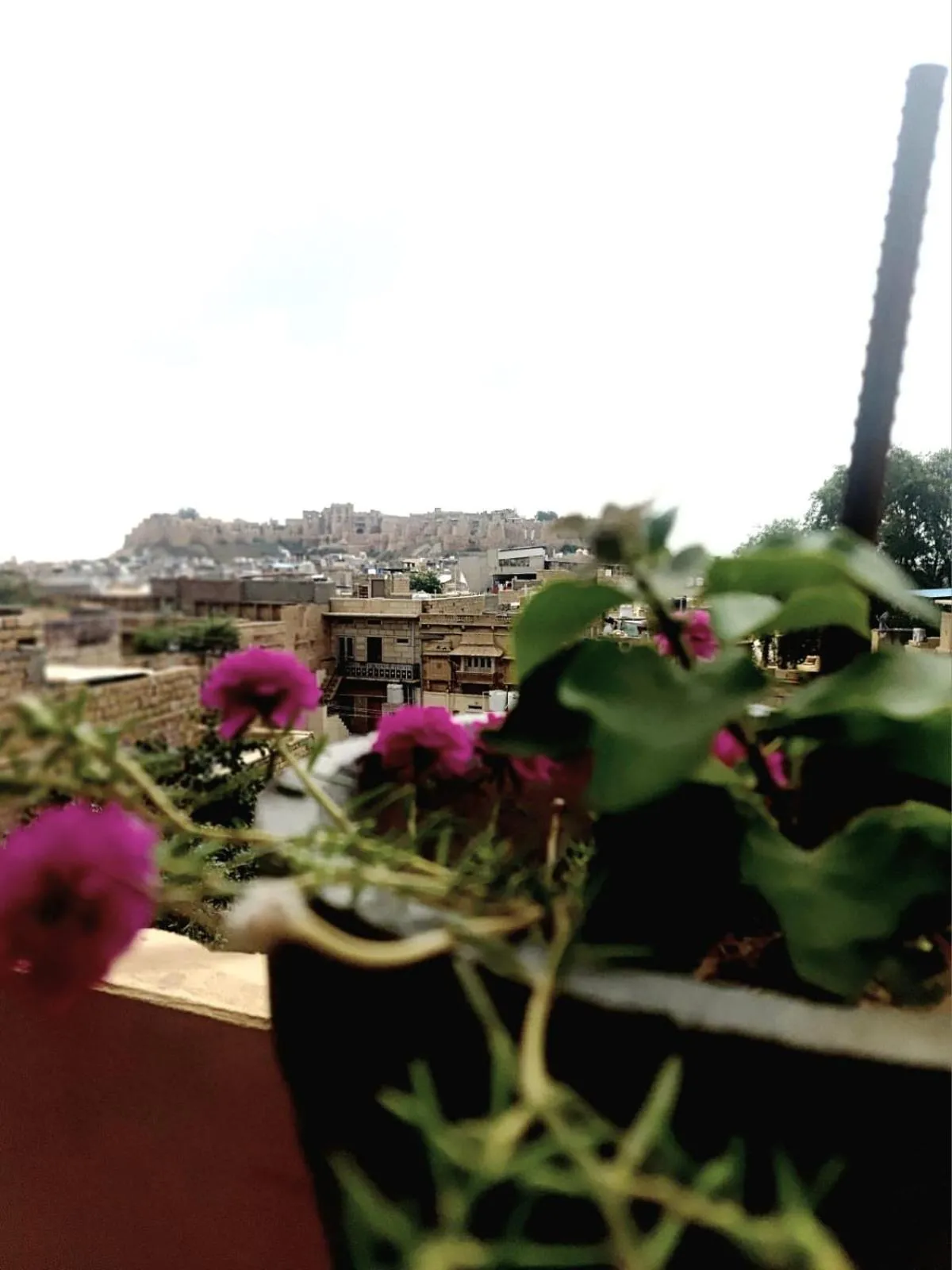 Restaurant/places to eat in Bhim Kothi
