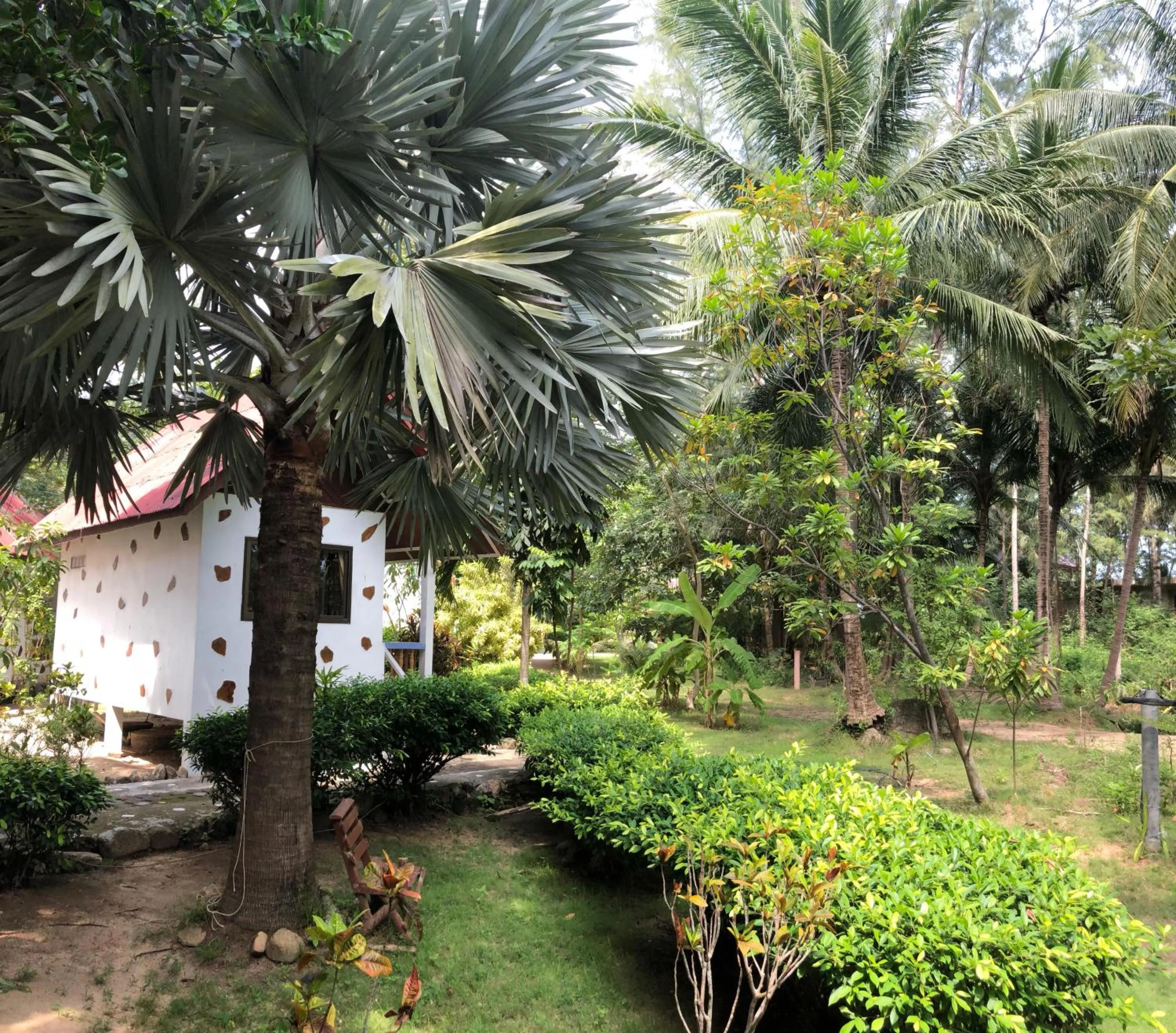 Garden view in Haad Khuad Resort