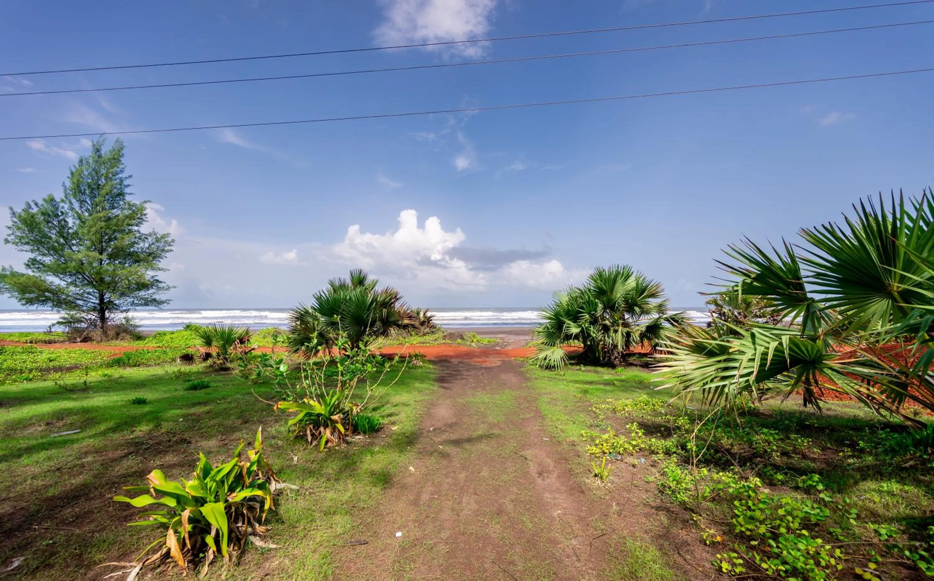 View (from property/room) in Lotus an Eco Beach Resort Dapoli Murud
