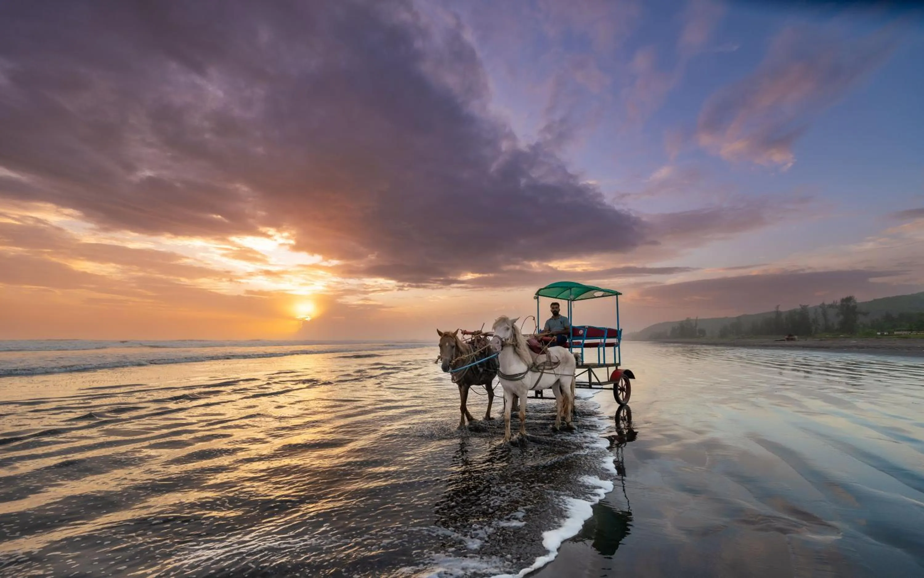 Other in Lotus an Eco Beach Resort Dapoli Murud