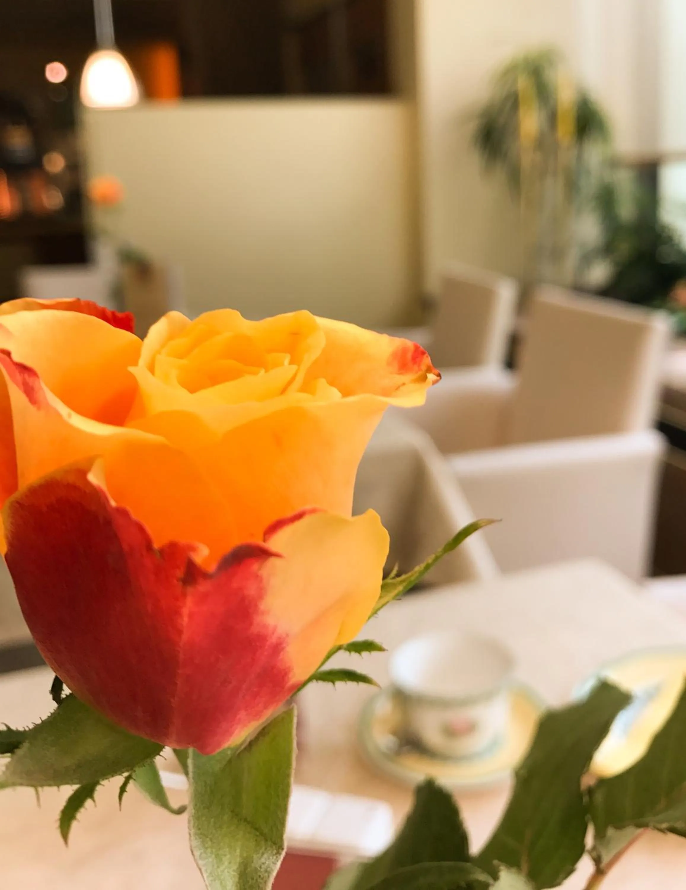 Decorative detail in City Hotel Ost am Kö