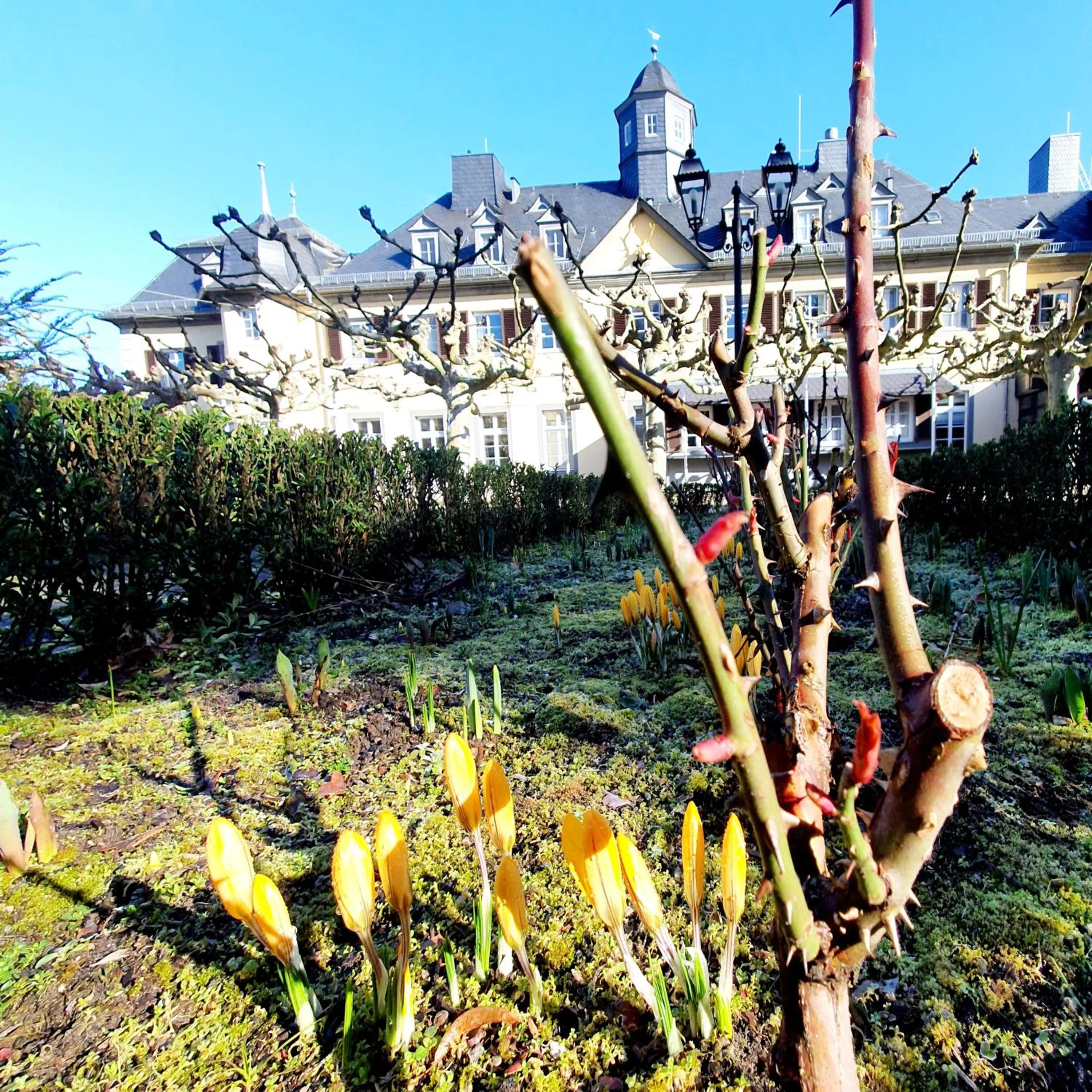 Garden in Jagdschloss Hotel Niederwald