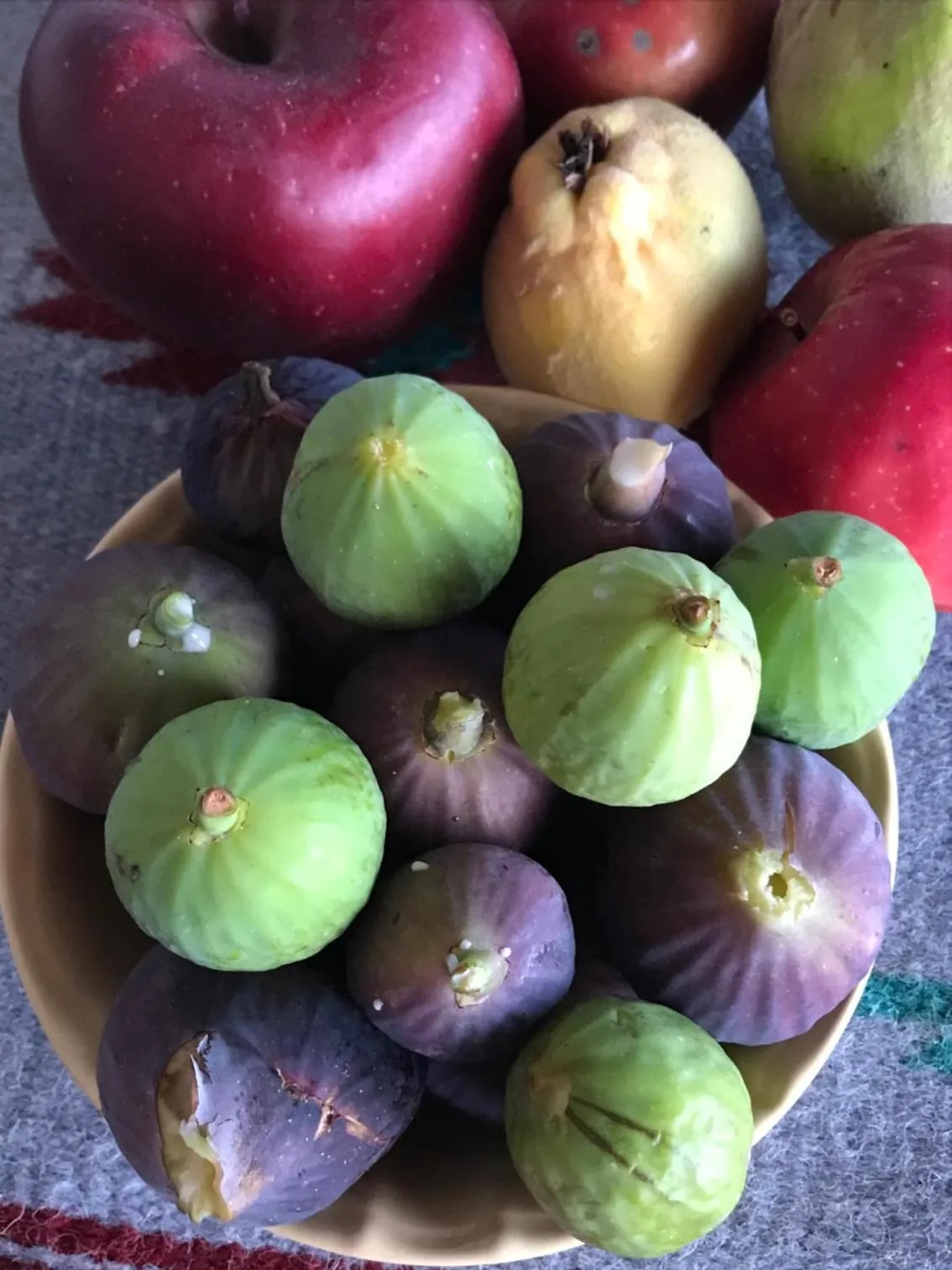 Time of day in LE LANTERNE