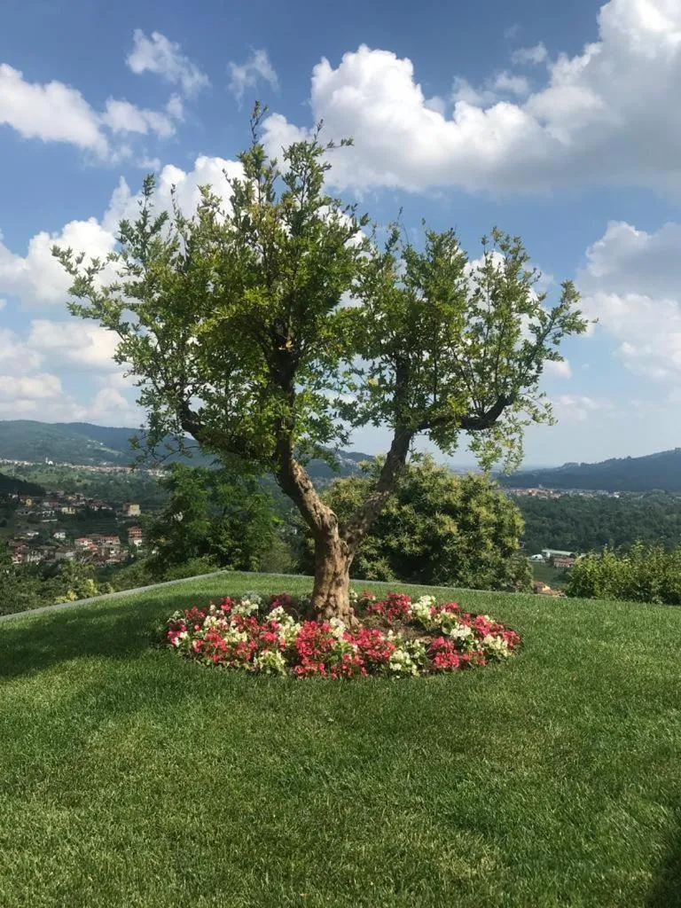 Garden view in LE LANTERNE