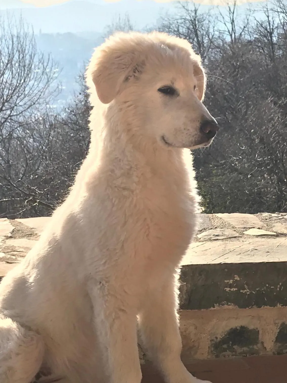 Time of day in LE LANTERNE