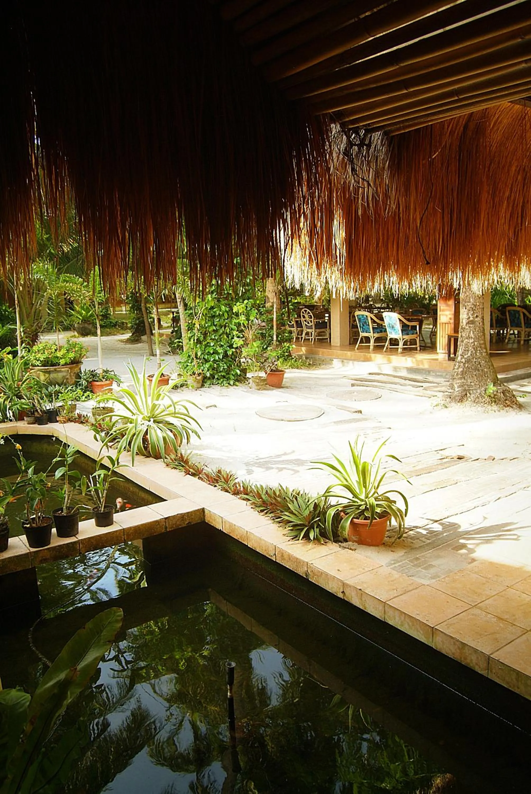 Area and facilities in Sea Wind Resort