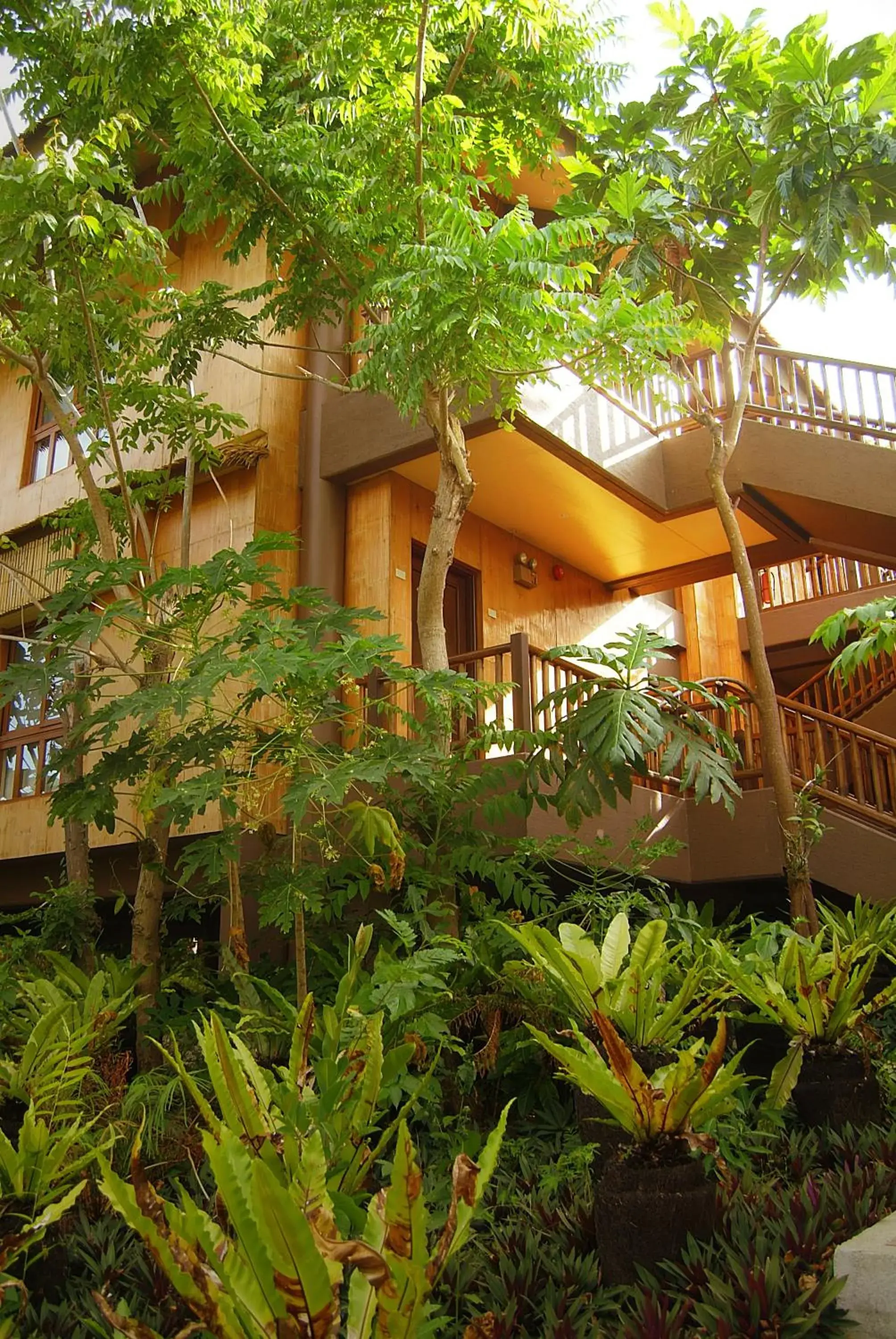 Garden view in Sea Wind Resort Garden view in Sea Wind Resort