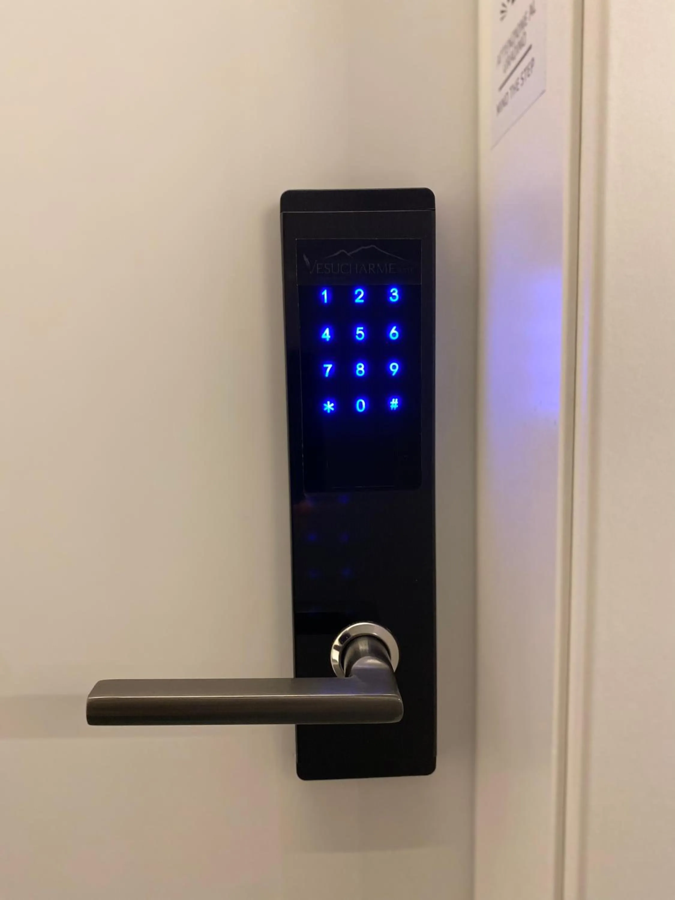 VESUCHARME SUITE Luxury Room