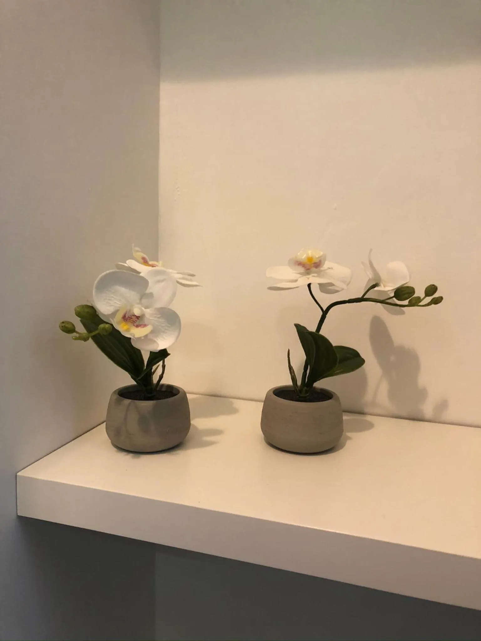 Decorative detail in VESUCHARME SUITE Luxury Room