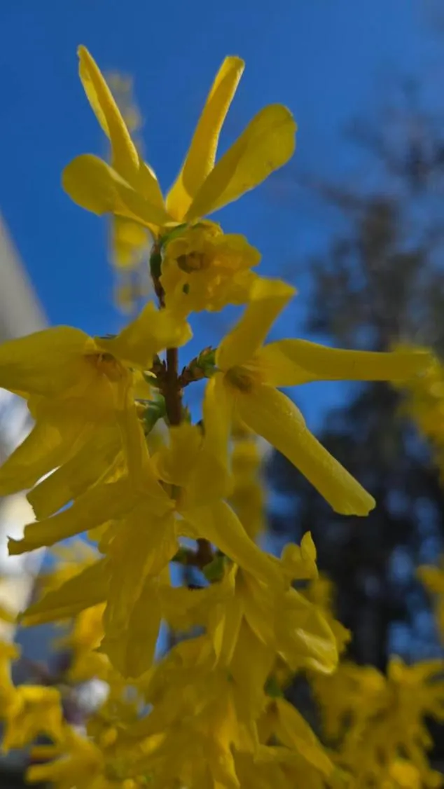 View (from property/room) in Hotel Prinz