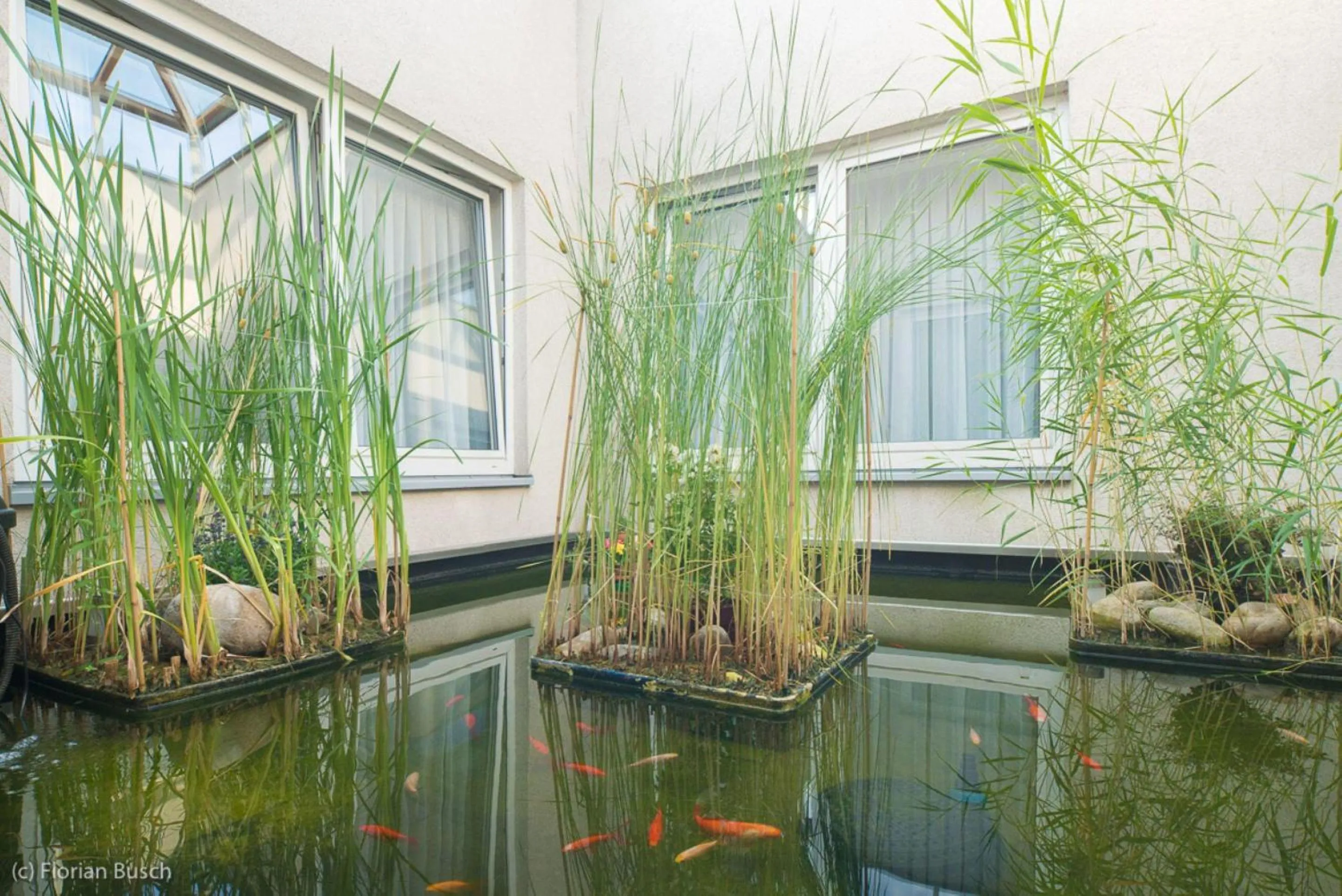 Sports in Best Western Hotel im Forum Mülheim