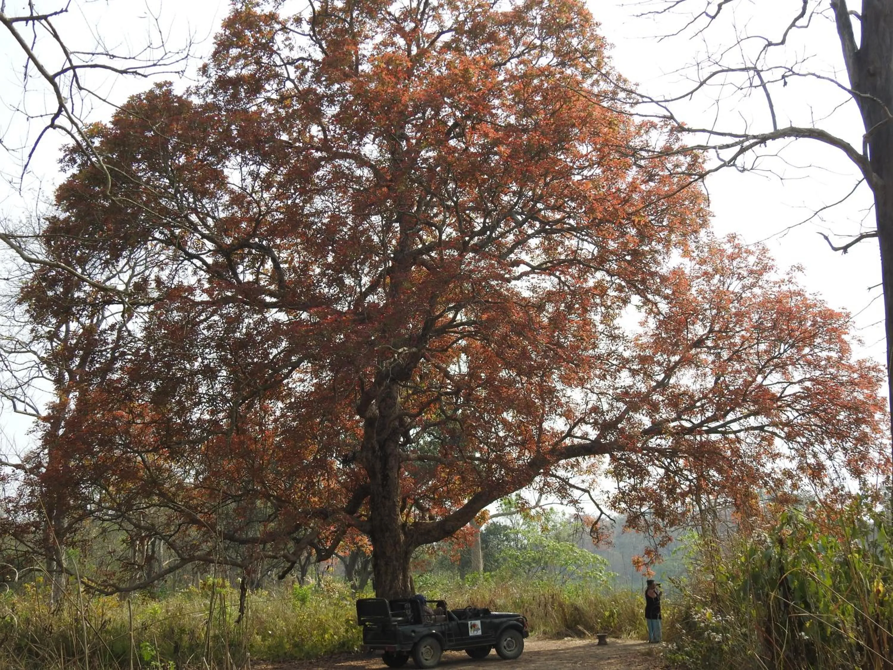 Property building in Babai Resort Pvt Ltd