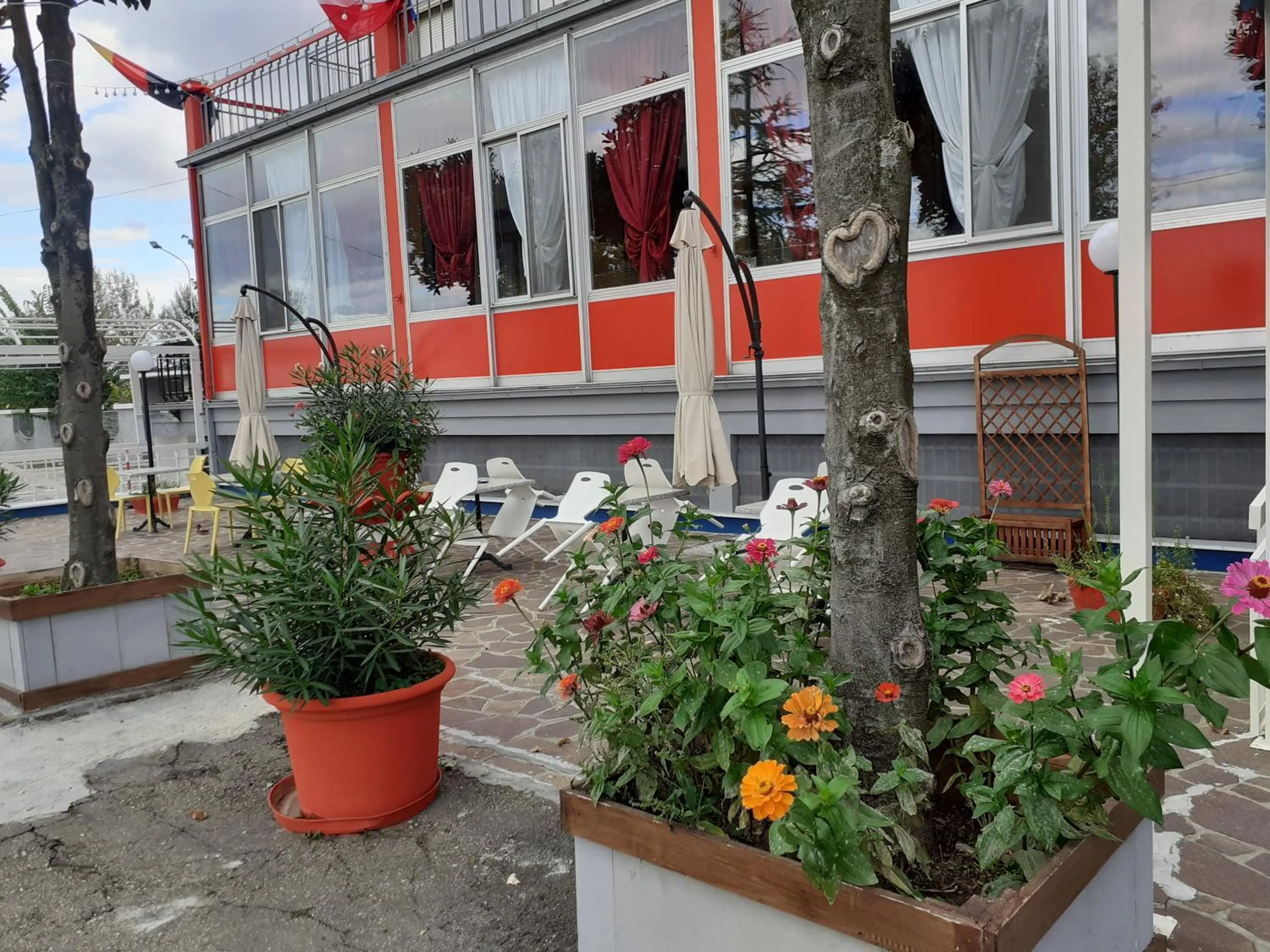 Garden in Hotel Paradiso