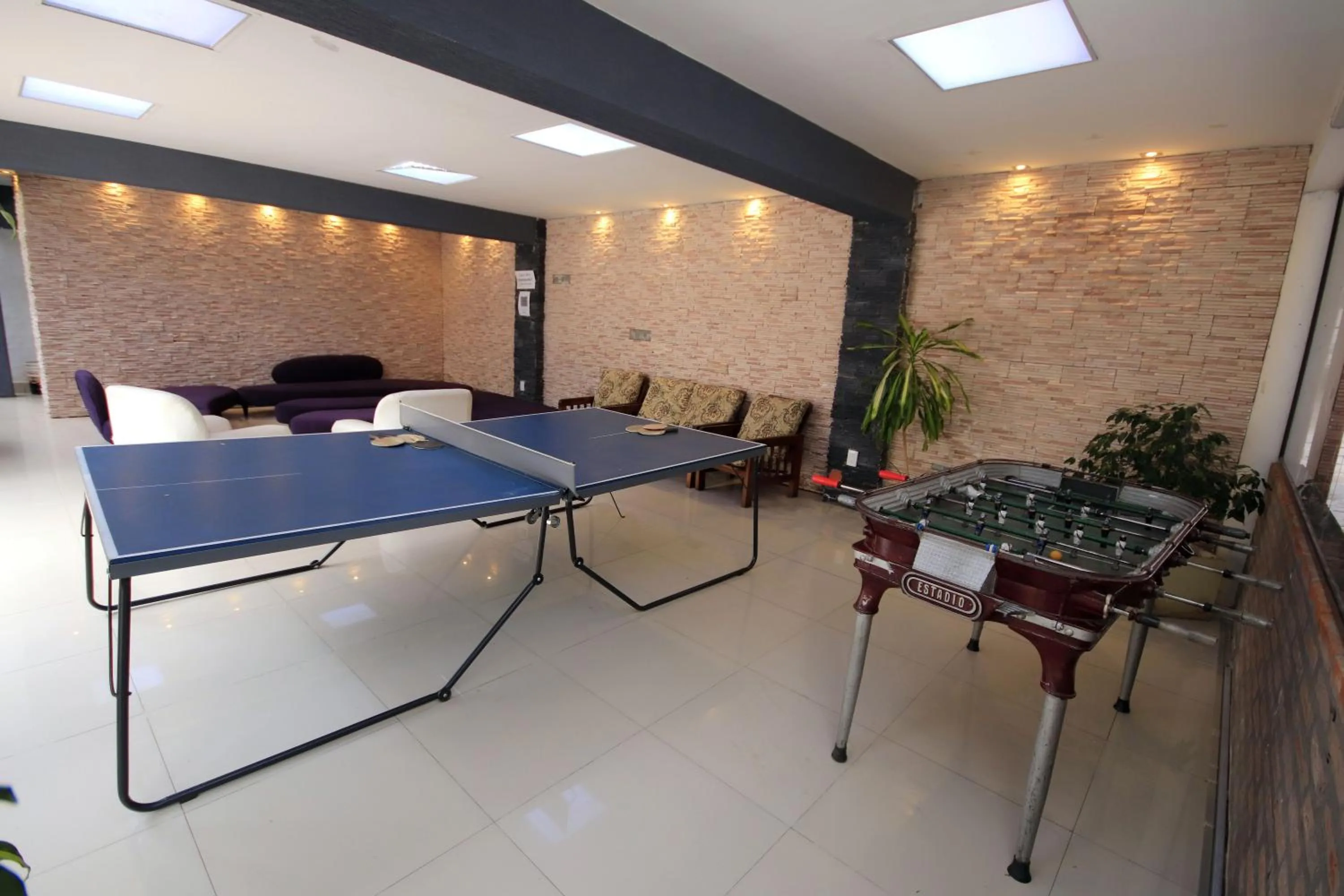 Game Room in Hotel Ananque