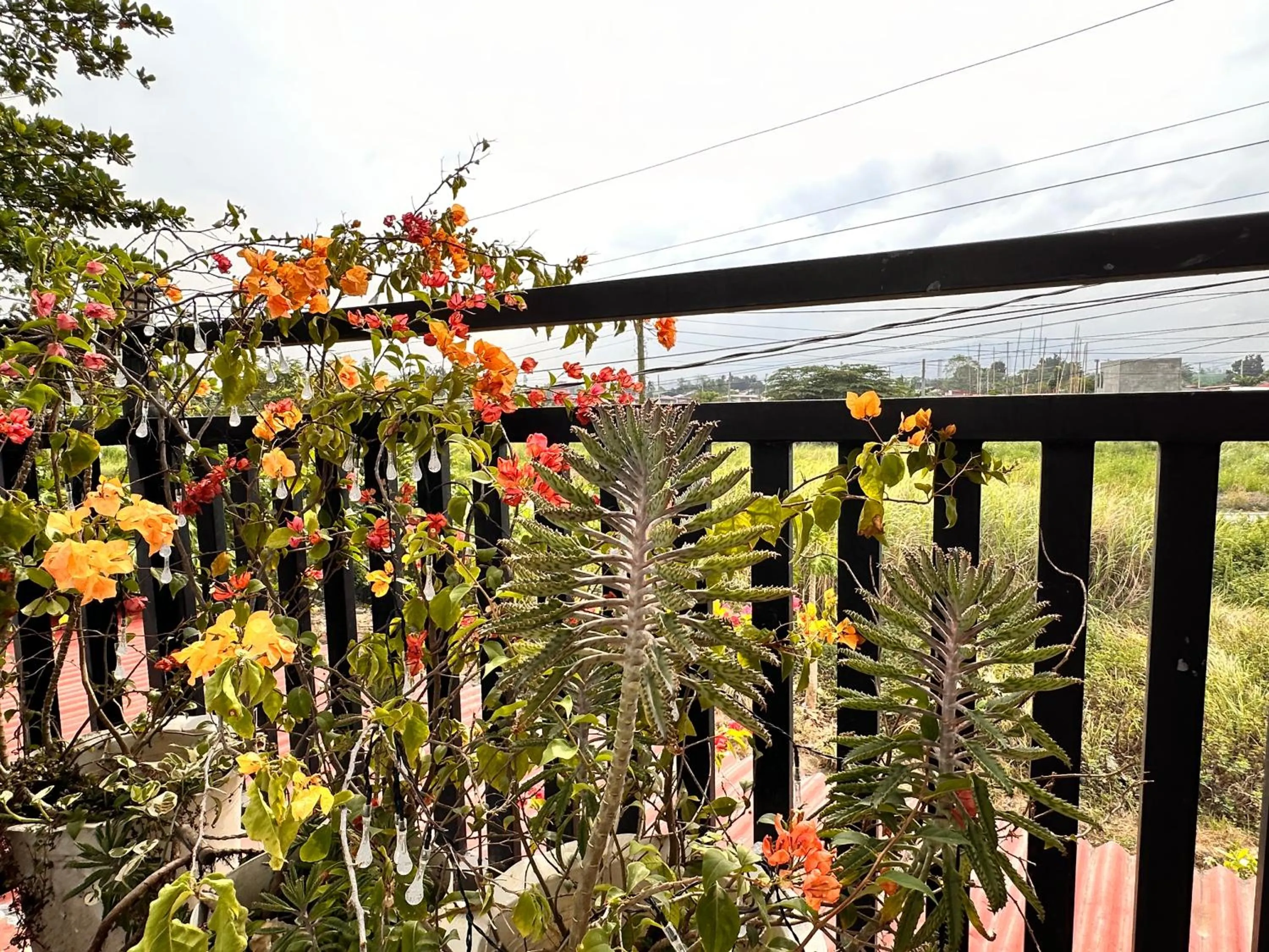 Balcony/Terrace in Rozay Travellers Inn
