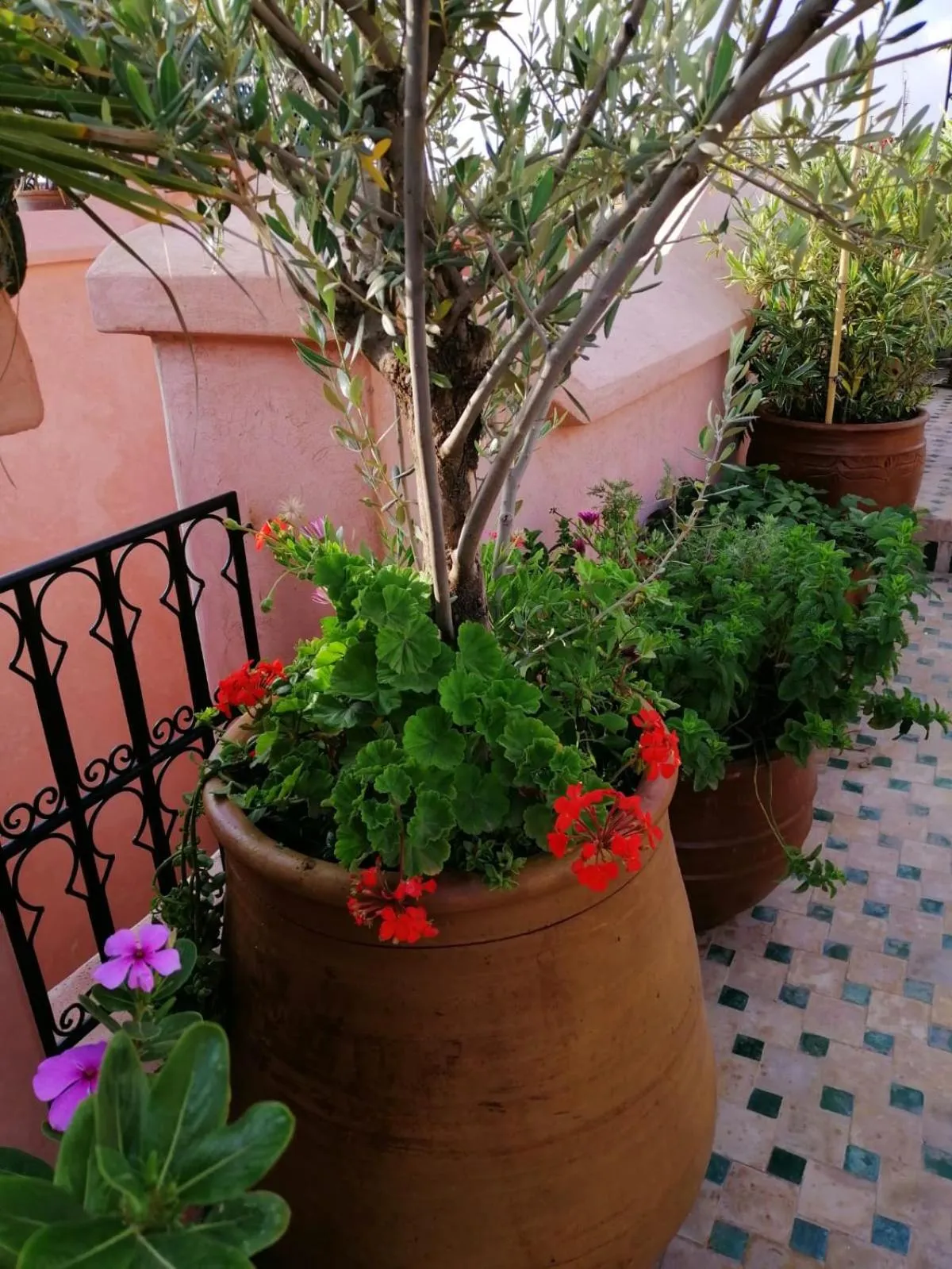 Balcony/Terrace in Riad Aventurine