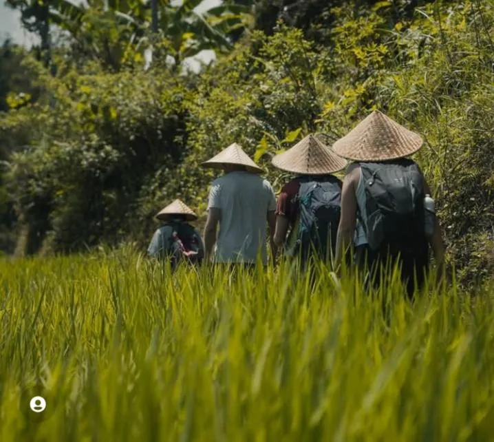 Wina Wani Bungalows Tetebatu