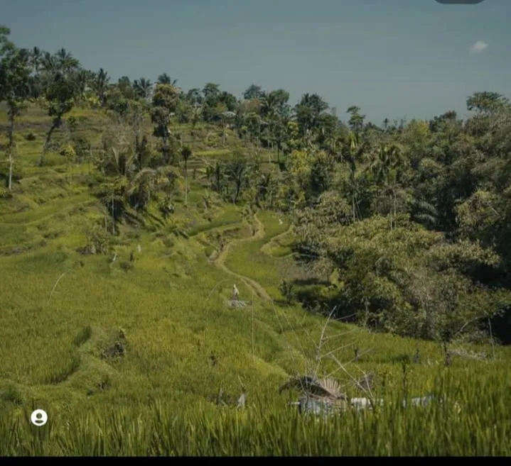 Wina Wani Bungalows Tetebatu