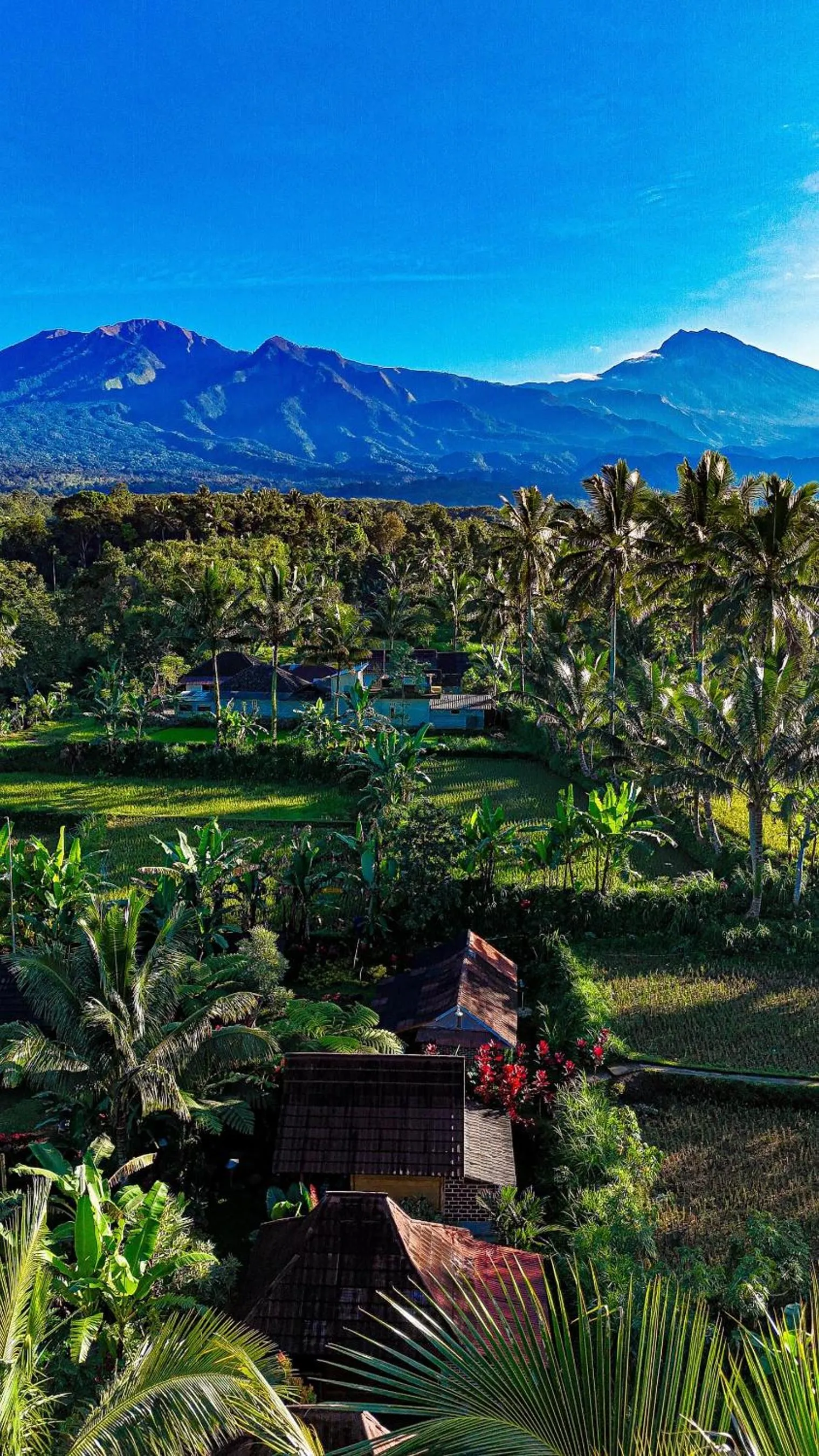 Wina Wani Bungalows Tetebatu