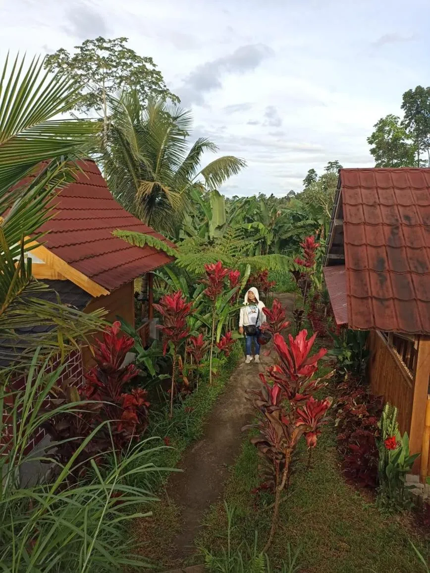 Wina Wani Bungalows Tetebatu