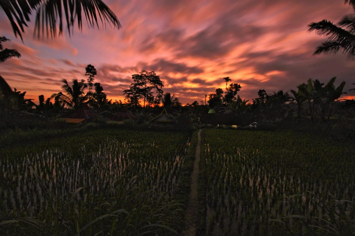 Wina Wani Bungalows Tetebatu