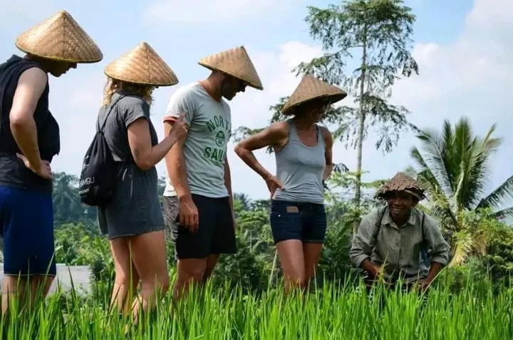 Wina Wani Bungalows Tetebatu