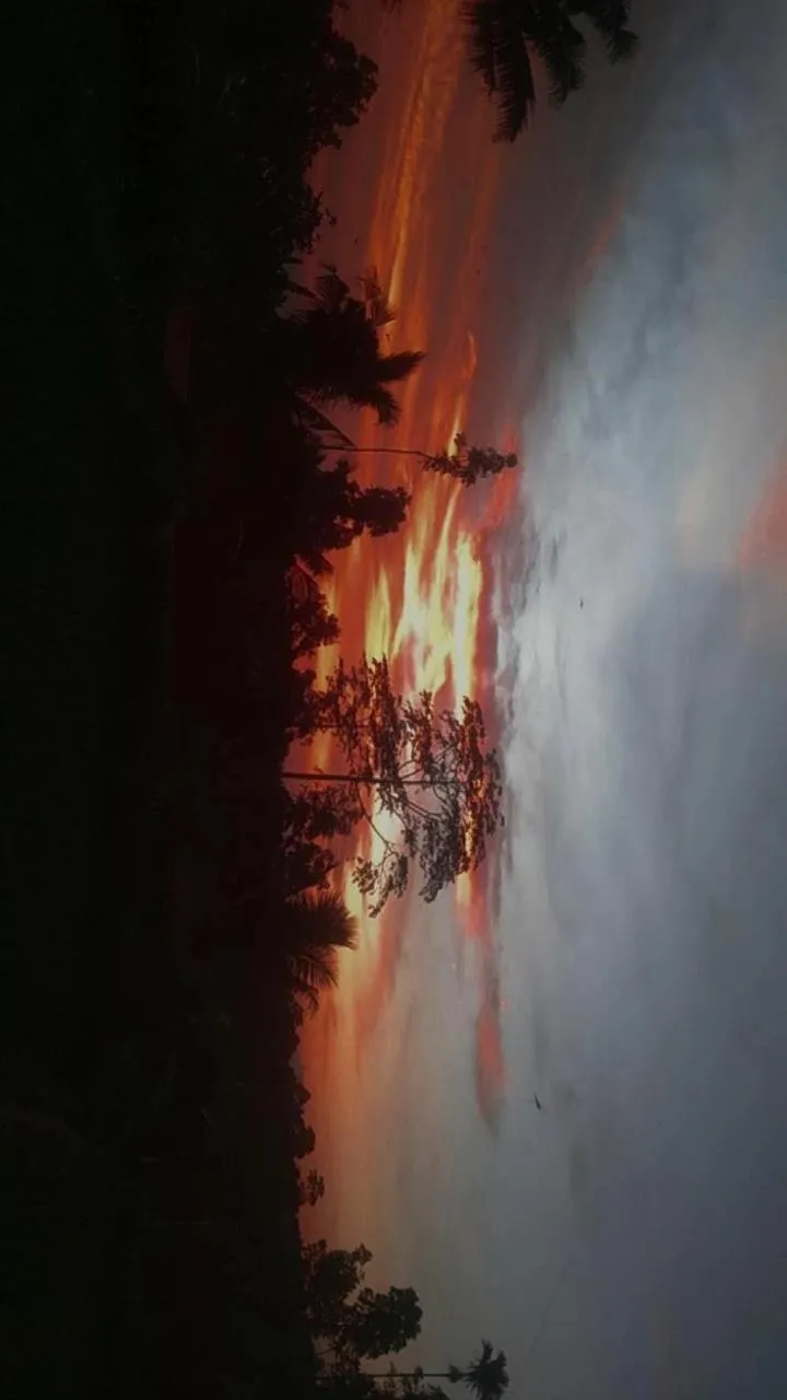 Wina Wani Bungalows Tetebatu