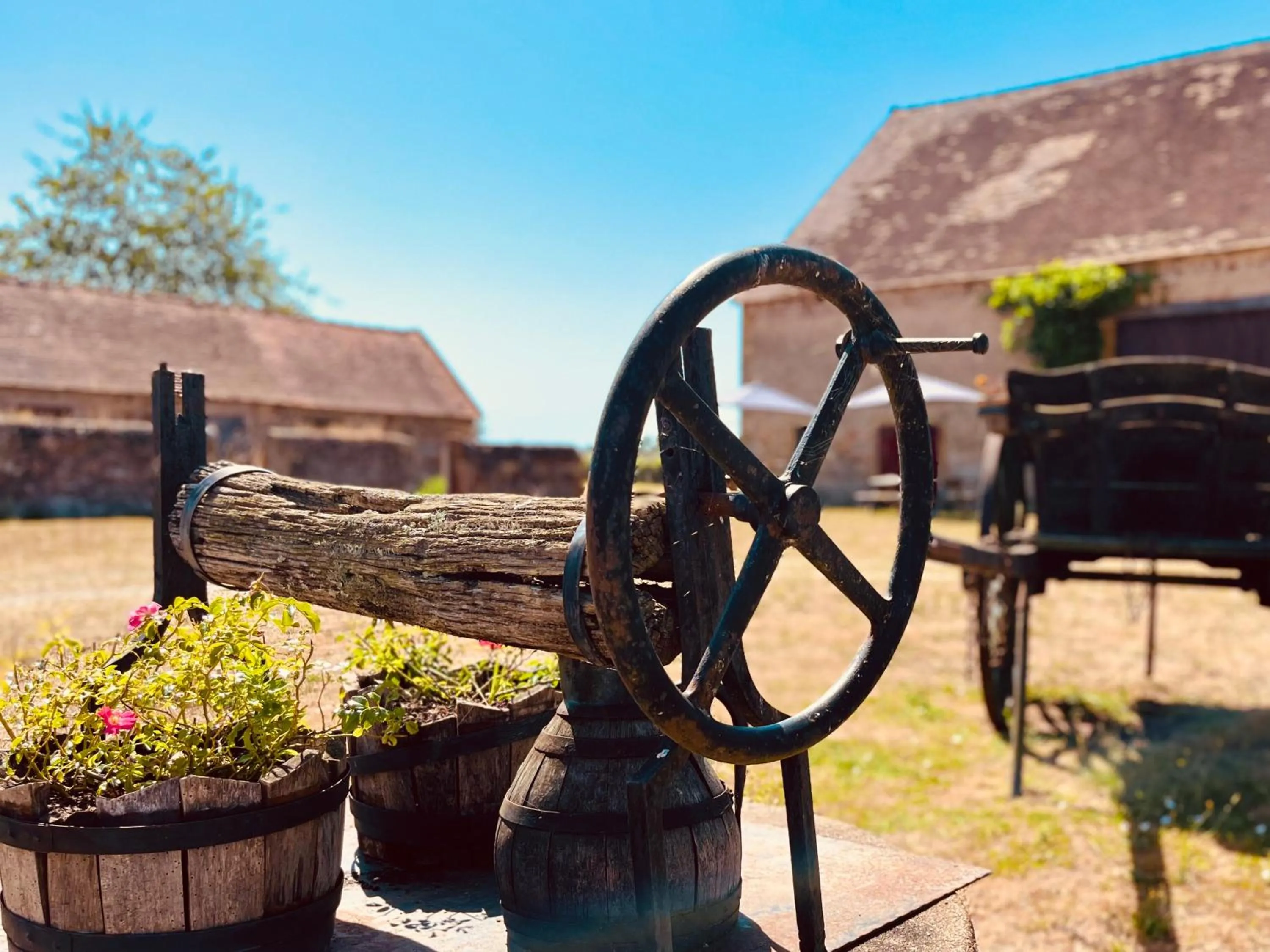 Garden in chambres d'hôtes Domaine les Grands Pérons