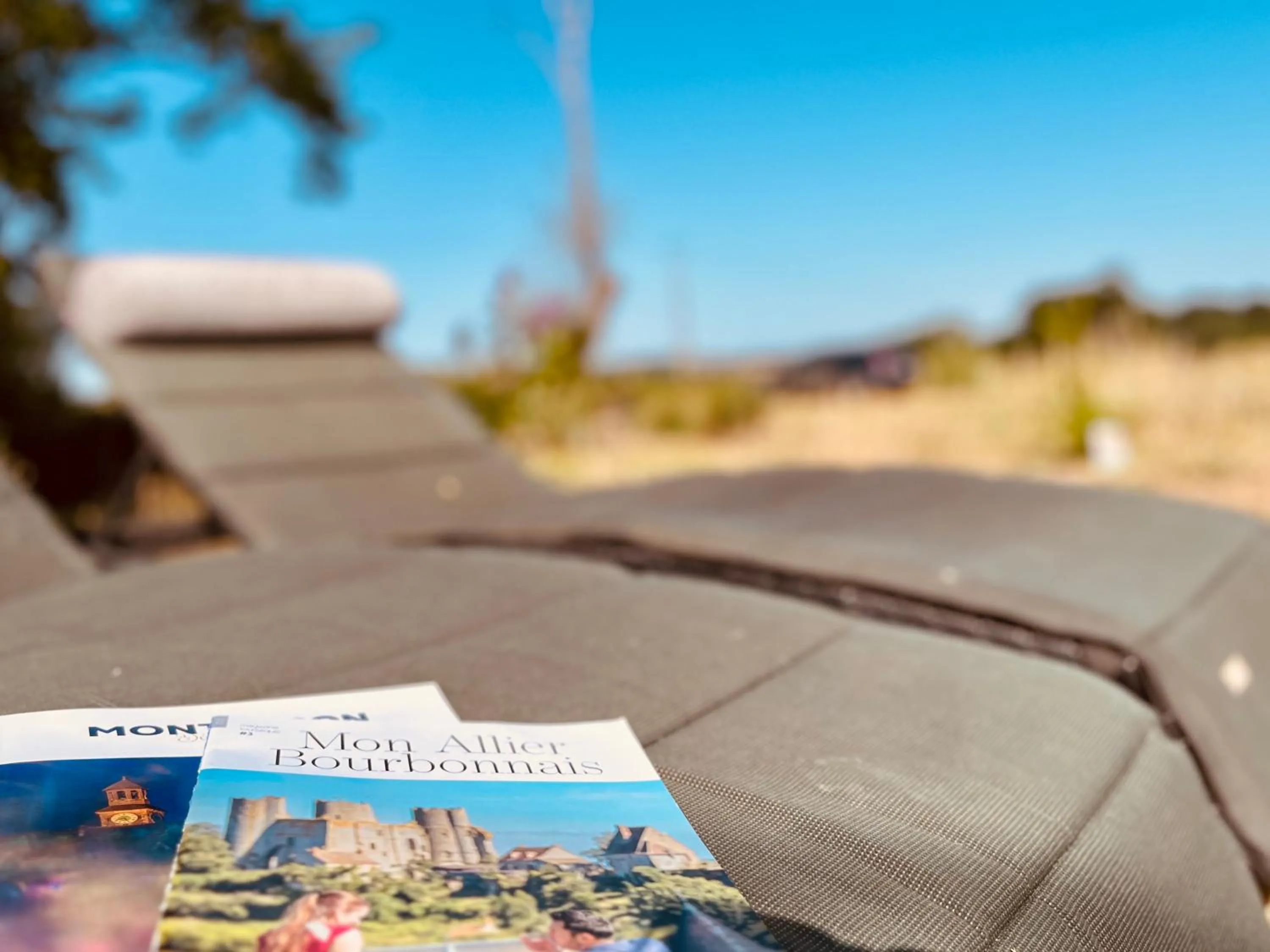 Garden in chambres d'hôtes Domaine les Grands Pérons