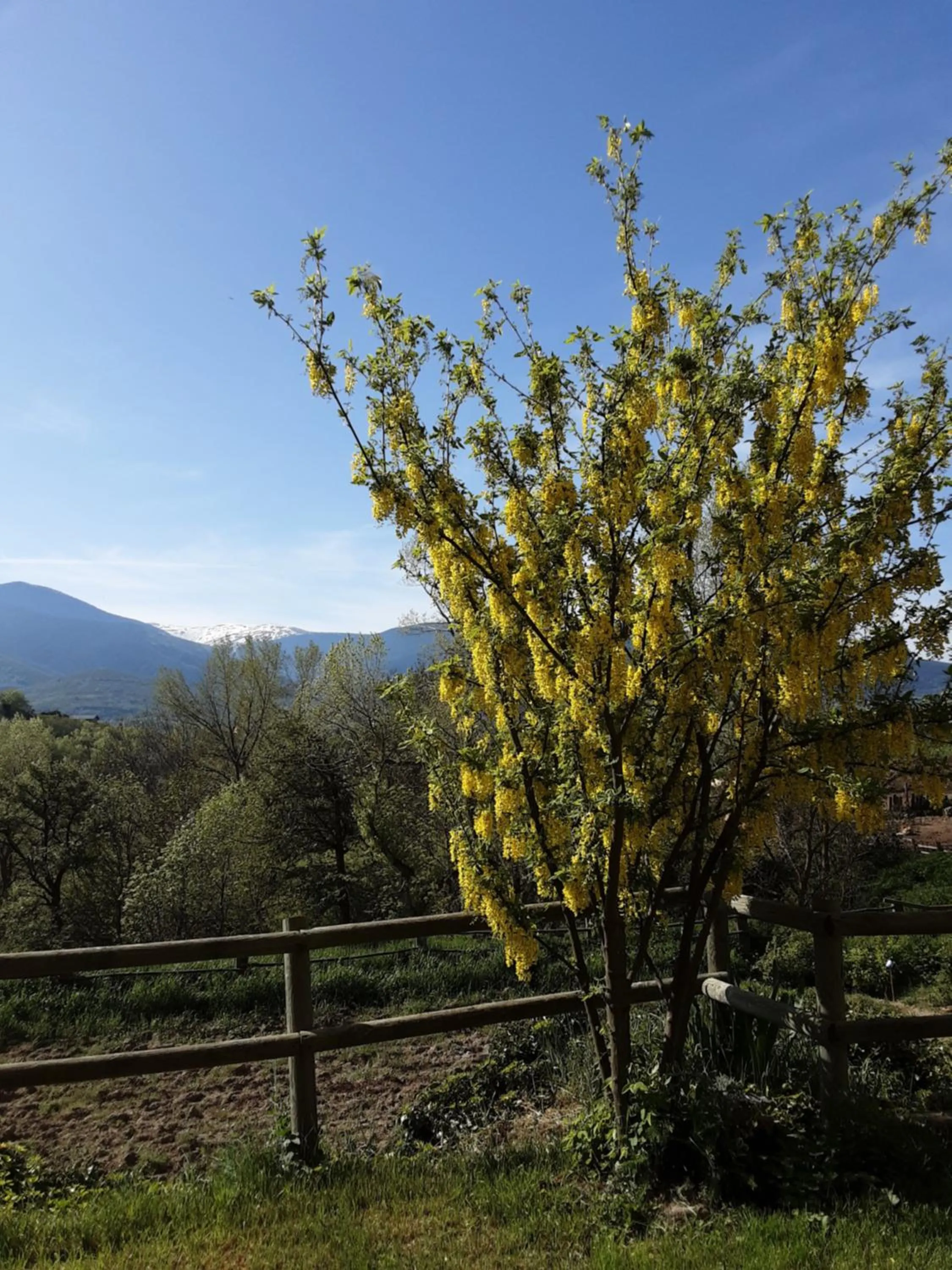 Mas Rondole - Chambres d'hôtes