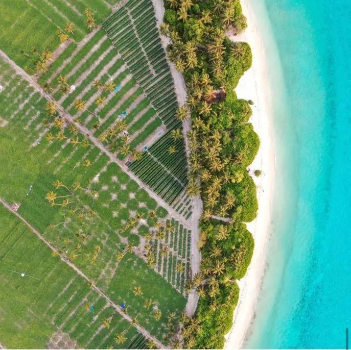 Bird's eye view in KingsWay Thoddoo Maldives