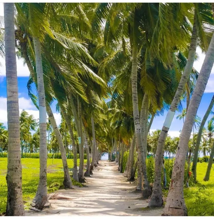 Natural landscape in KingsWay Thoddoo Maldives