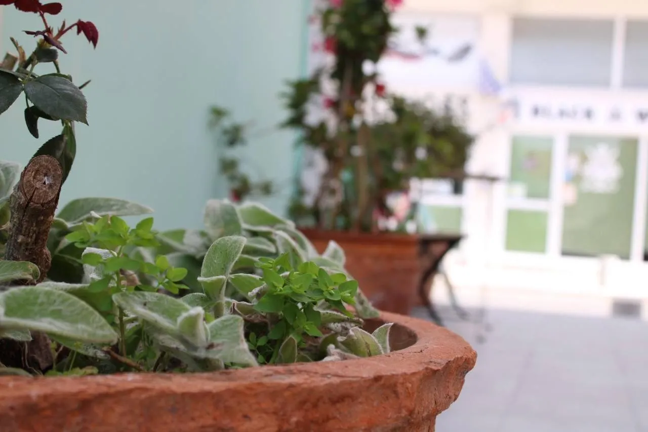 Garden in Katsikantaris Homes