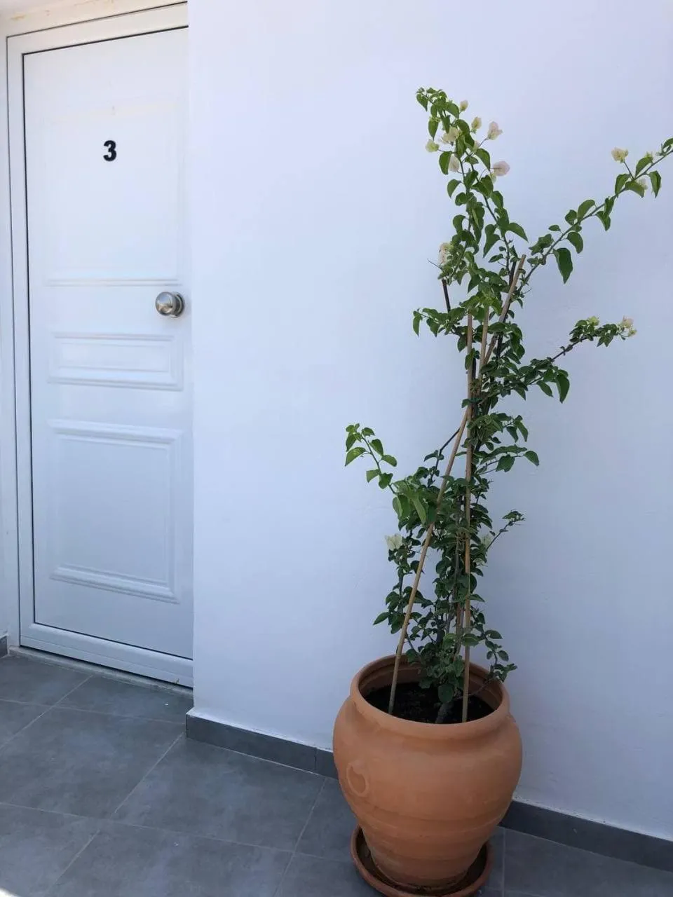 Facade/entrance in Katsikantaris Homes