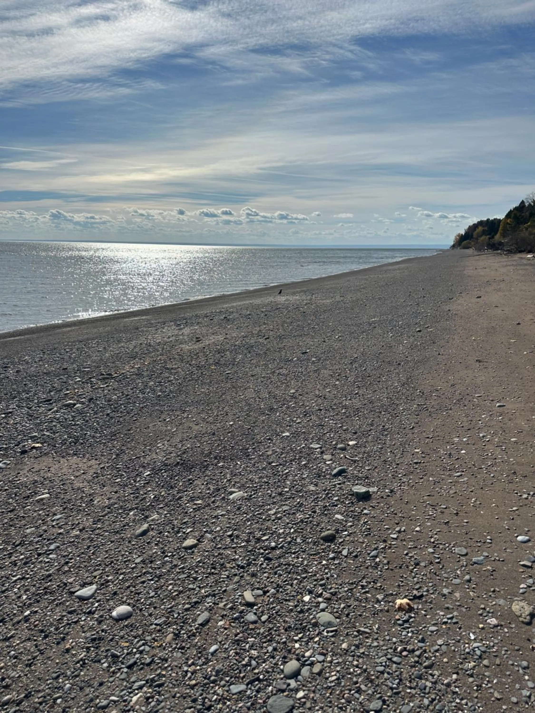 Motel Carleton Sur Mer