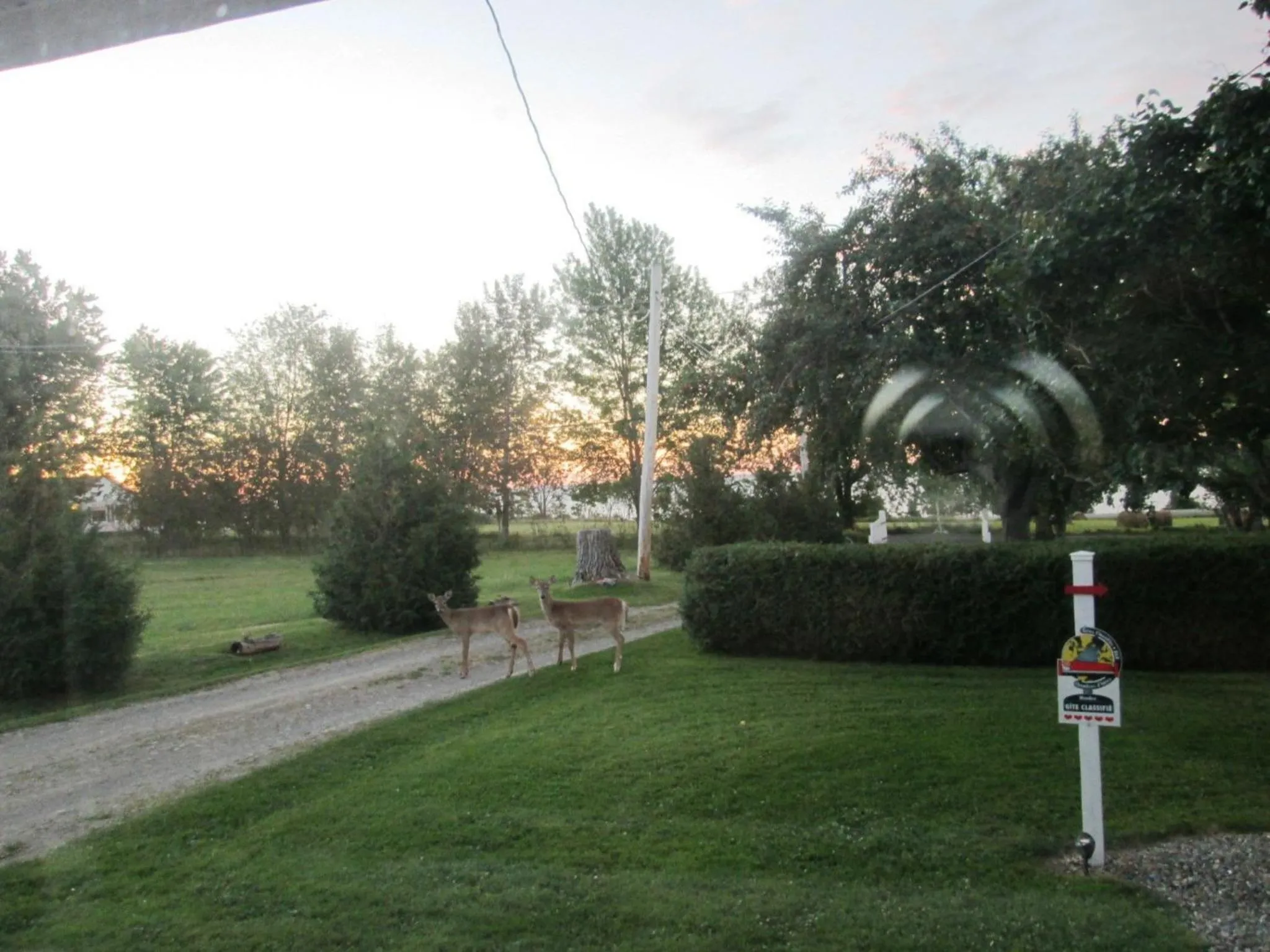 Gîte Les Acres Tranquilles B&B
