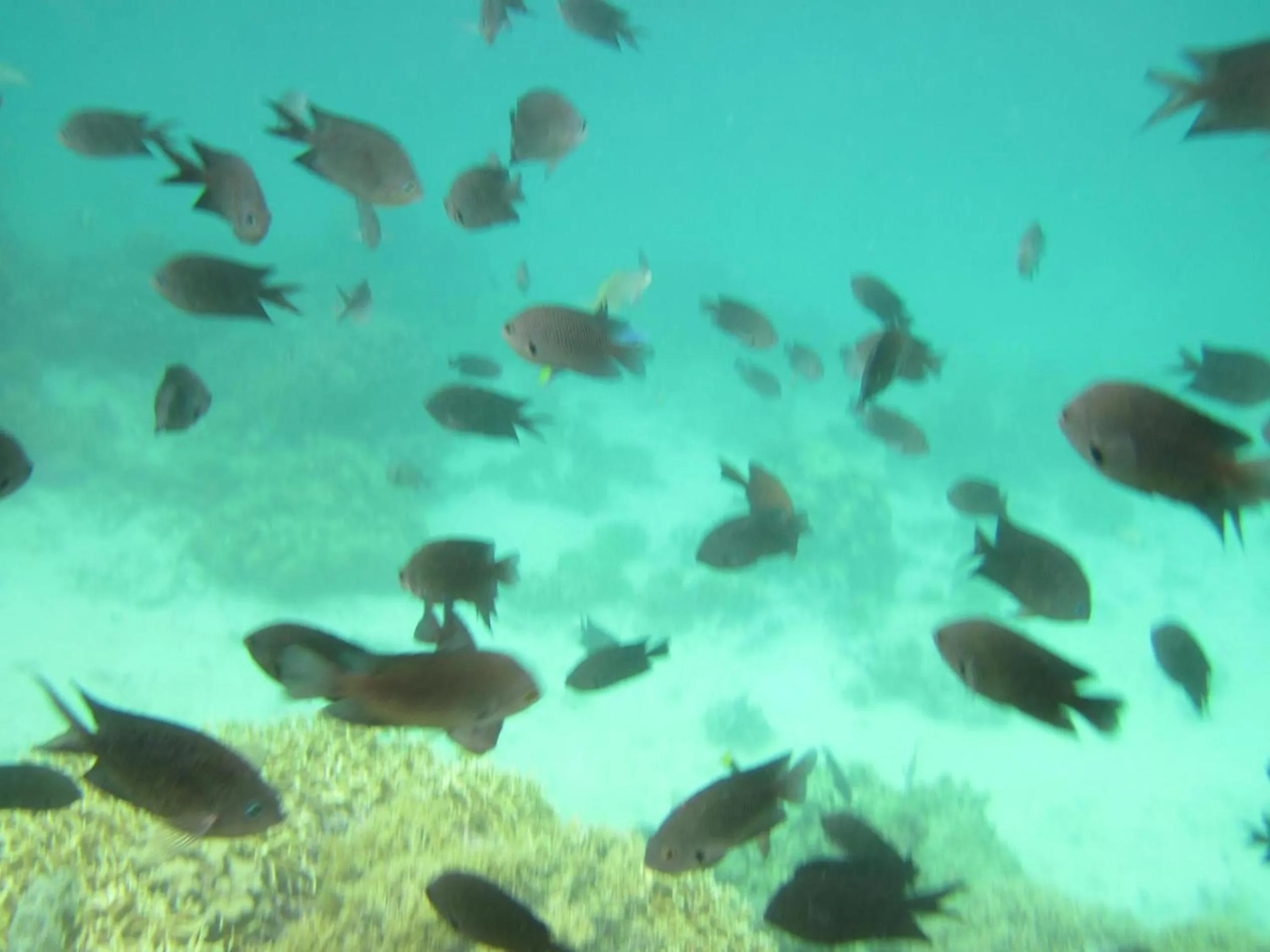 Area and facilities in Tribal Hills Mountain Resort