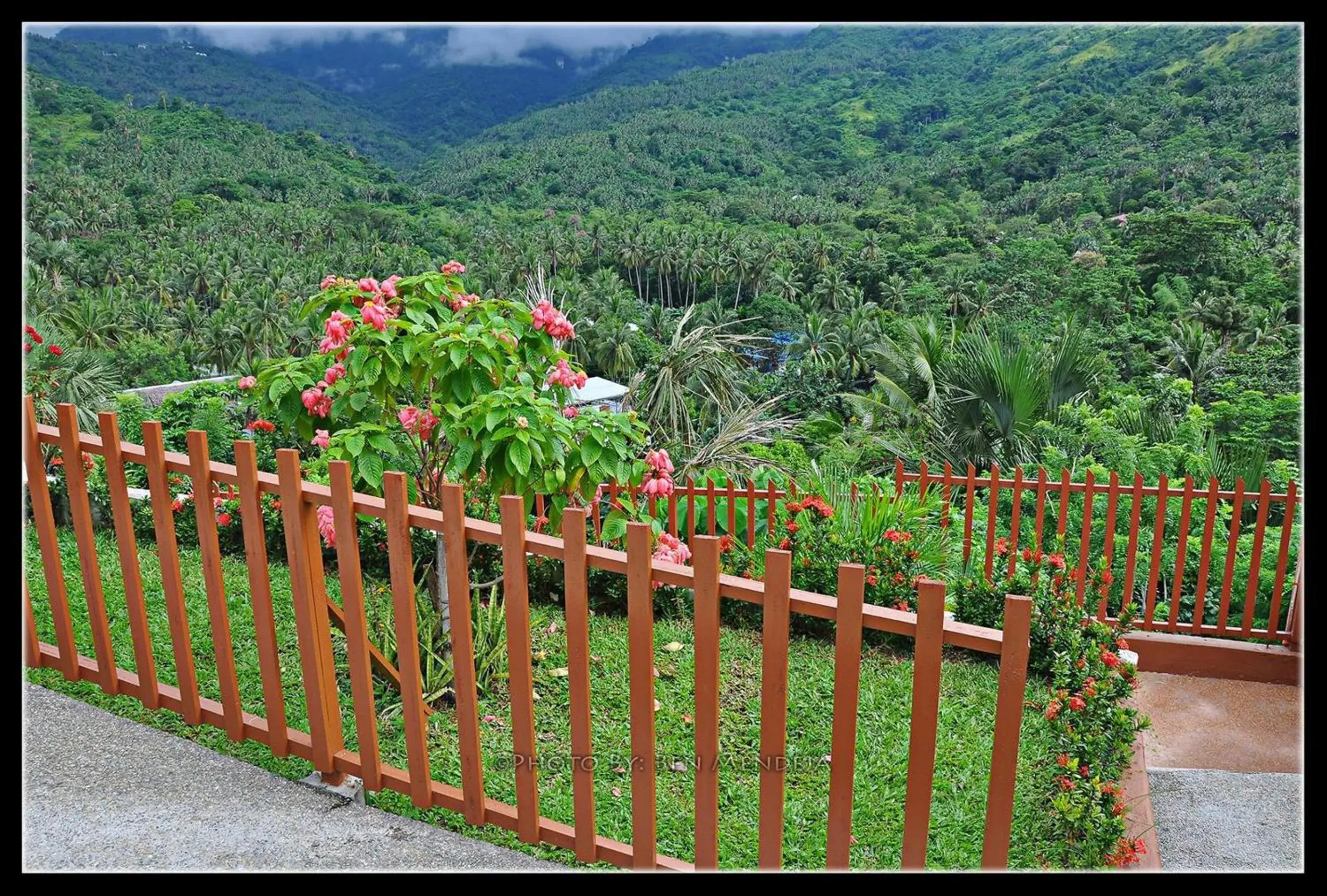 Garden view in Tribal Hills Mountain Resort Garden view in Tribal Hills Mountain Resort
