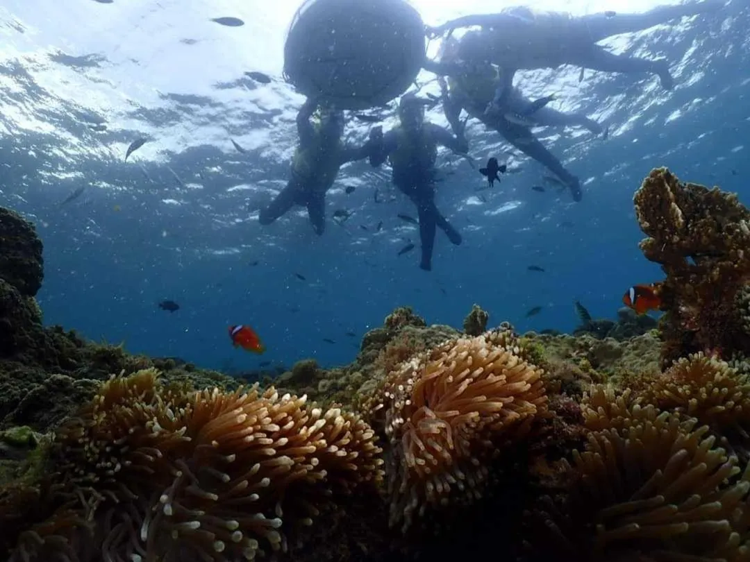 Snorkeling in Volando Kenting