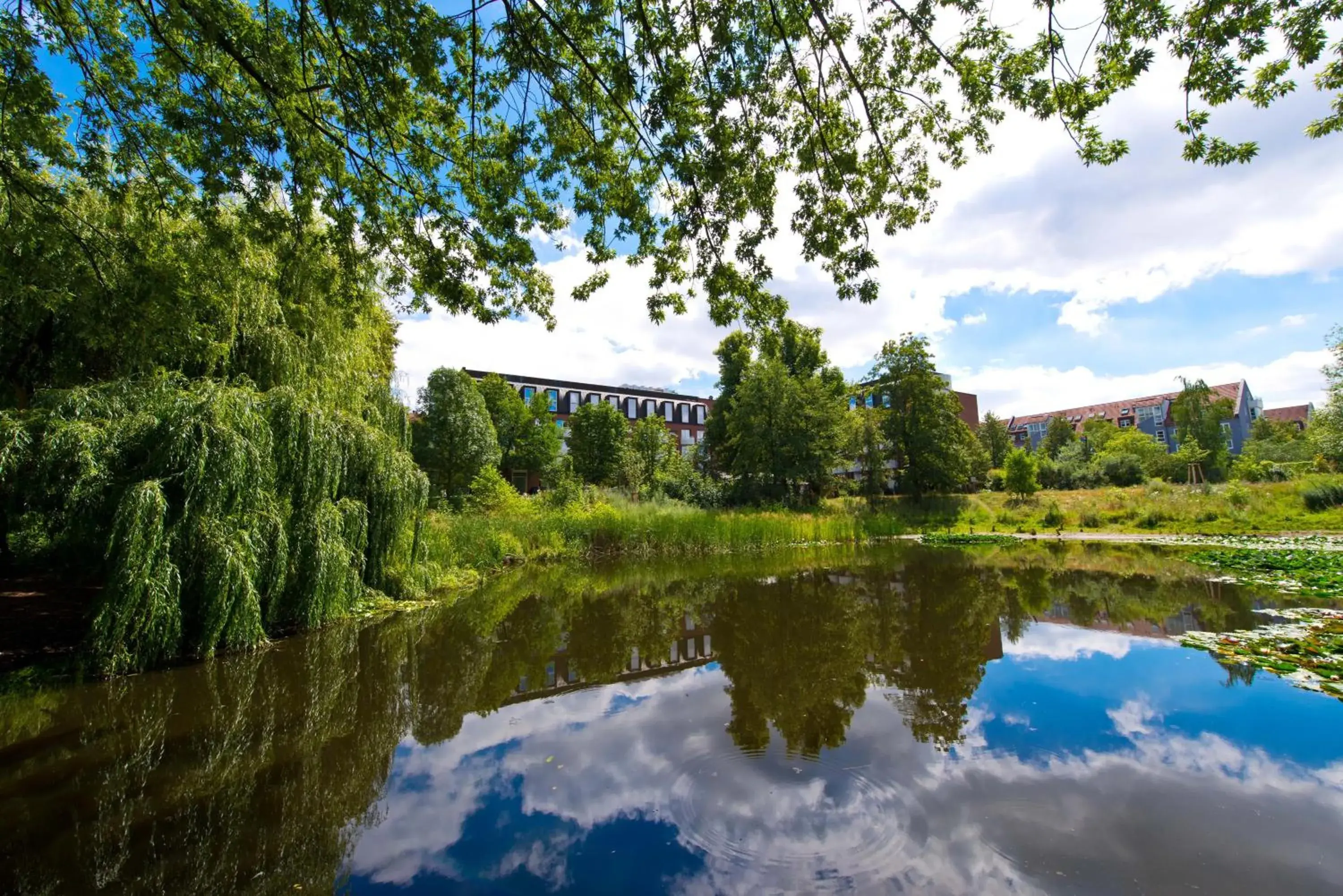Lake view in Living Hotel Weißensee Lake view in Living Hotel Weißensee