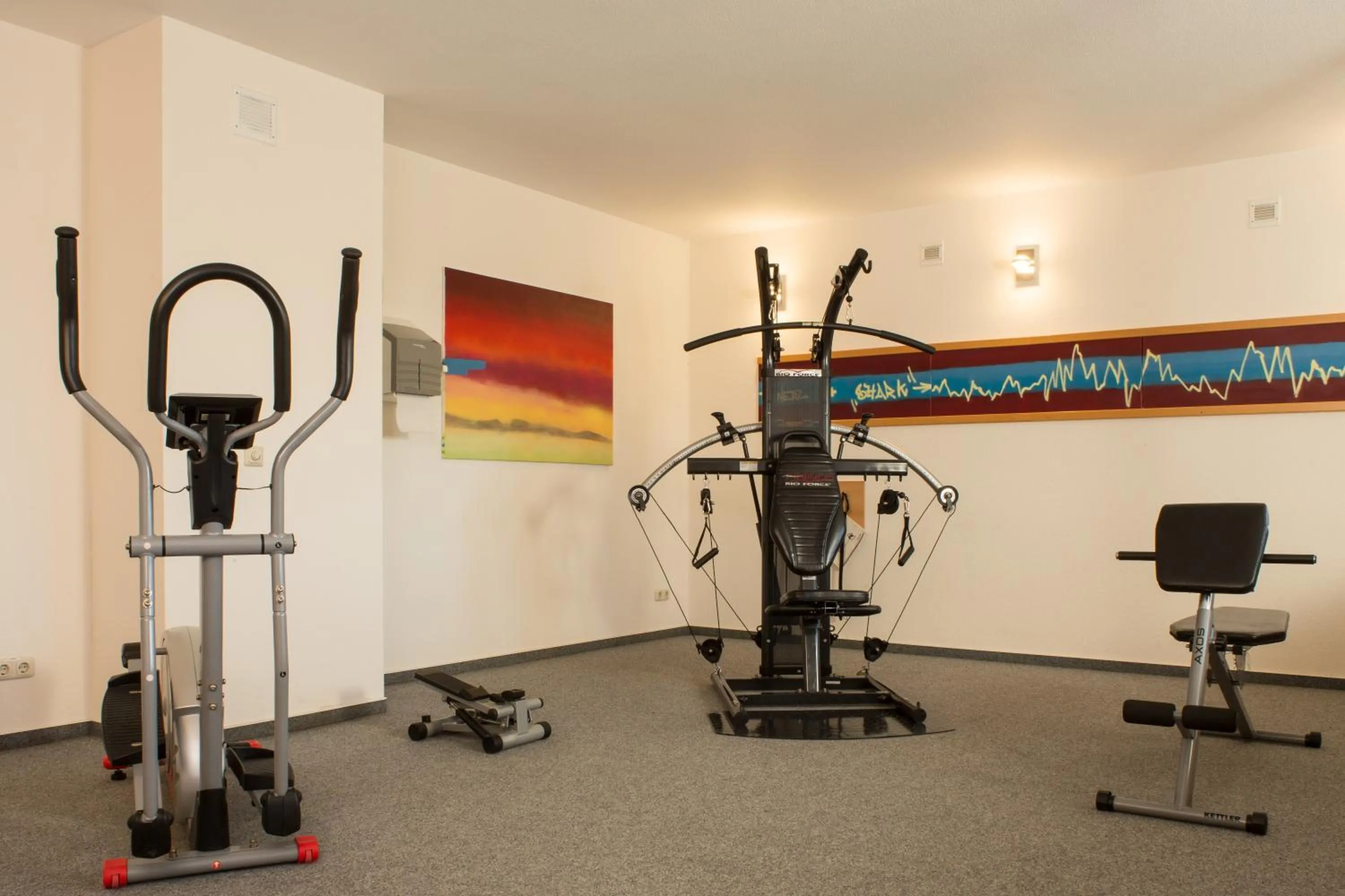 Fitness centre/facilities in Mühlenhotel Halle-Leipzig