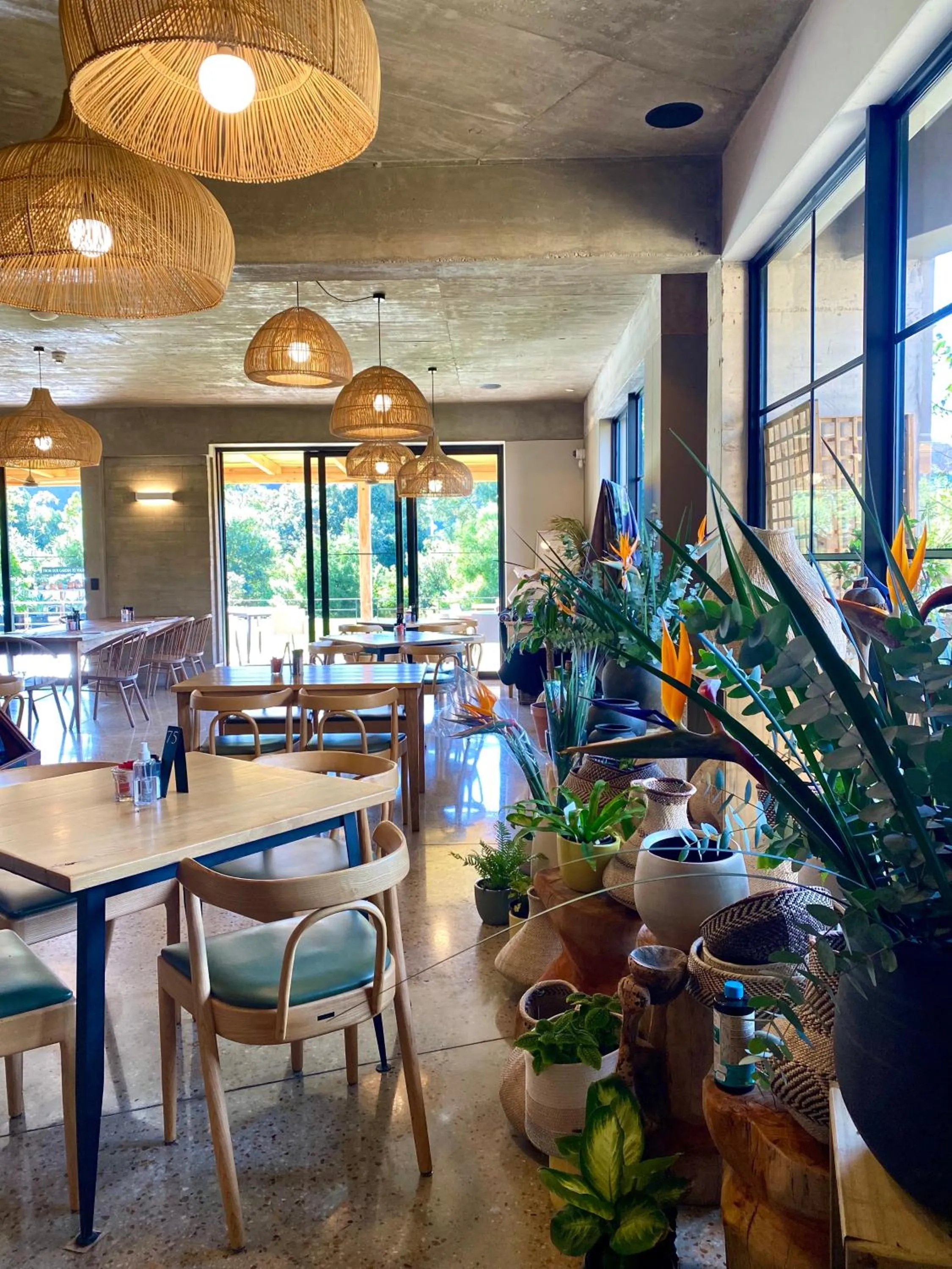 Restaurant/places to eat in Barrington's