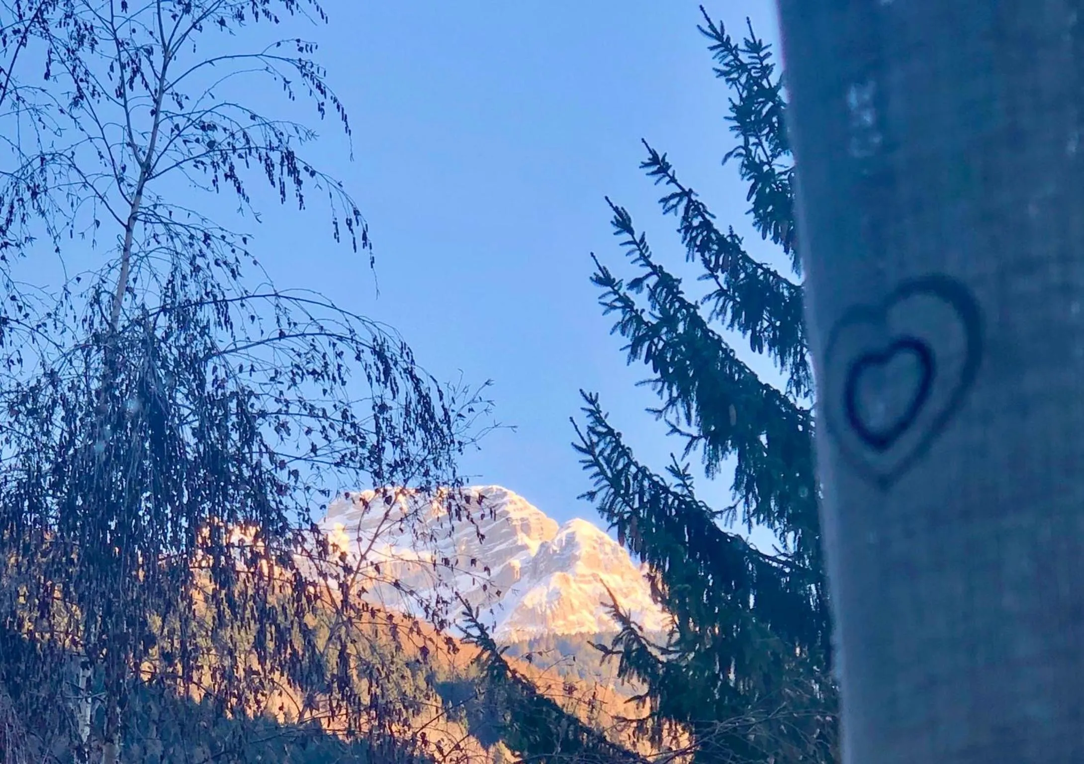 Mountain view in Appartamento 29