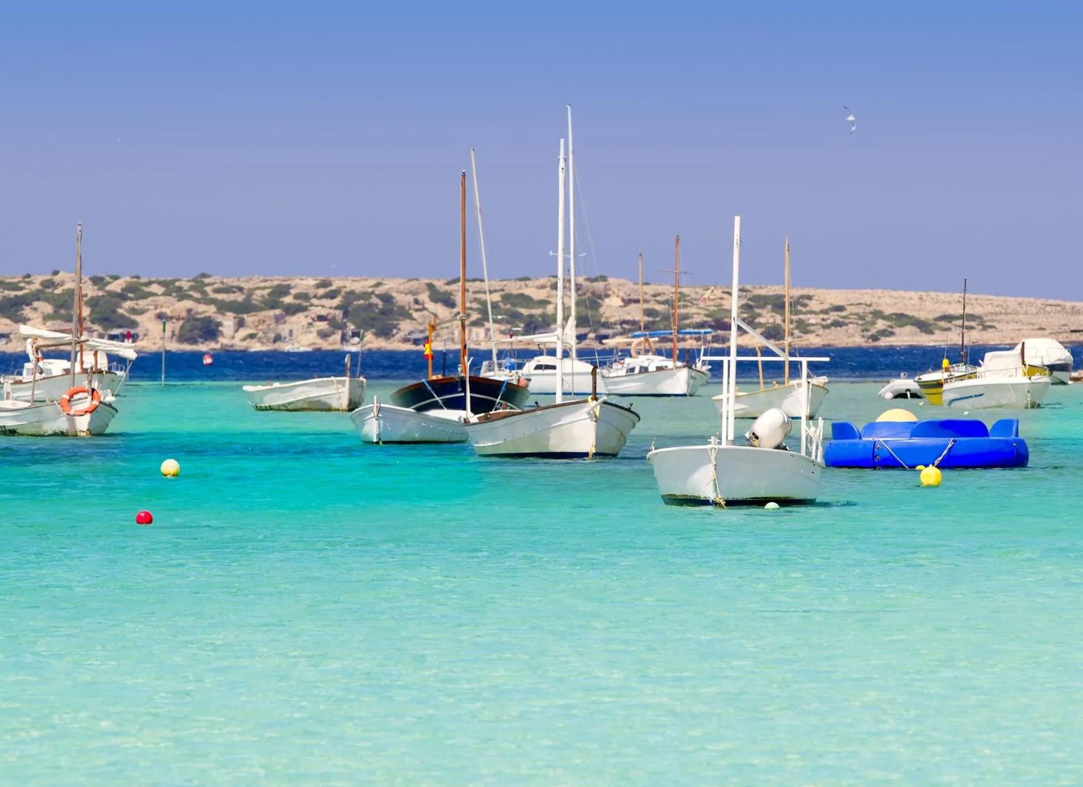 Natural landscape in Hotel Lago Dorado