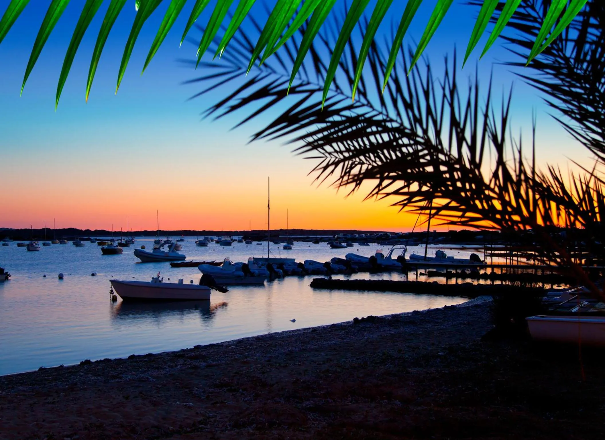 Natural landscape in Hotel Lago Dorado