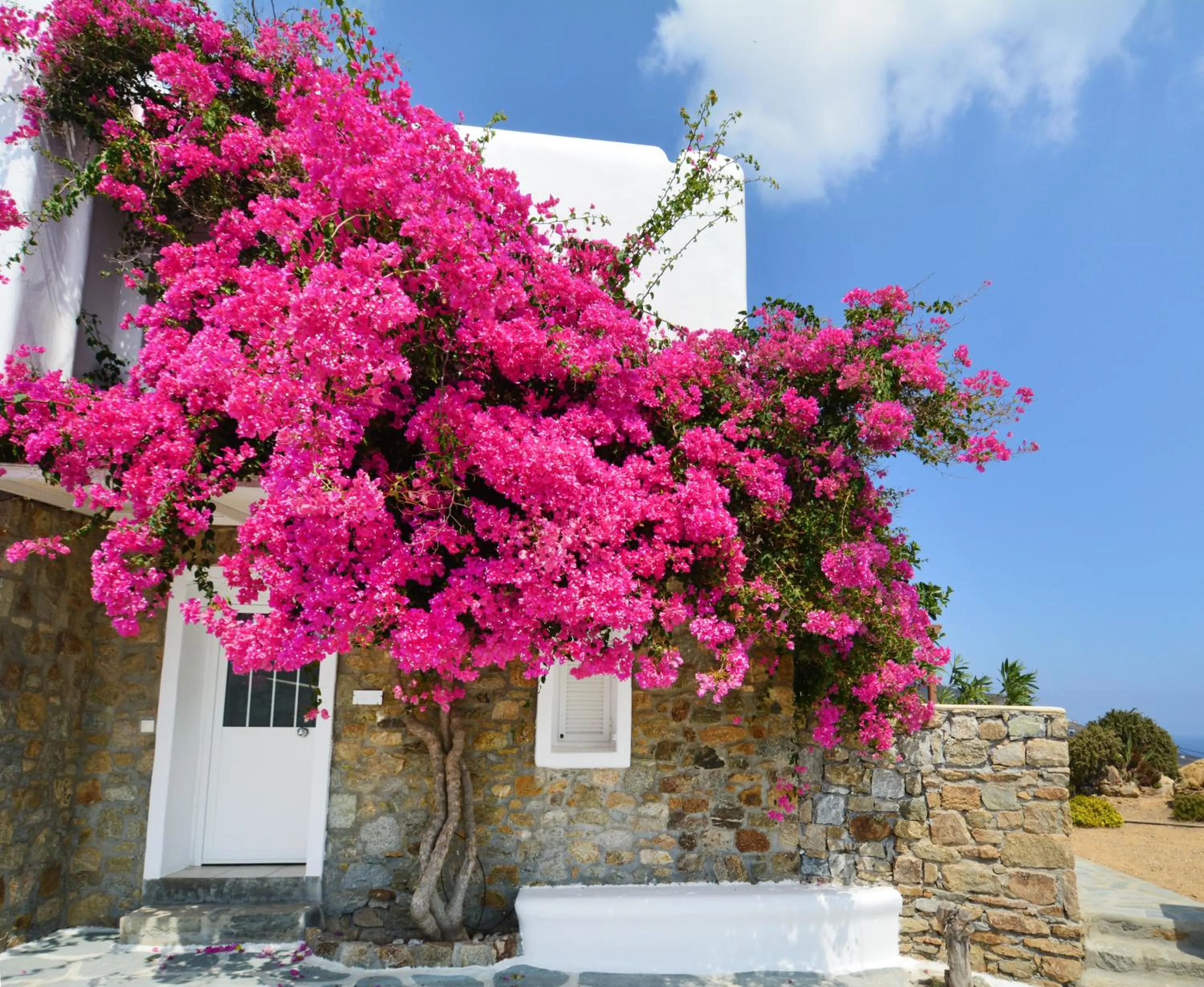 Facade/entrance in Sea Breeze Mykonos