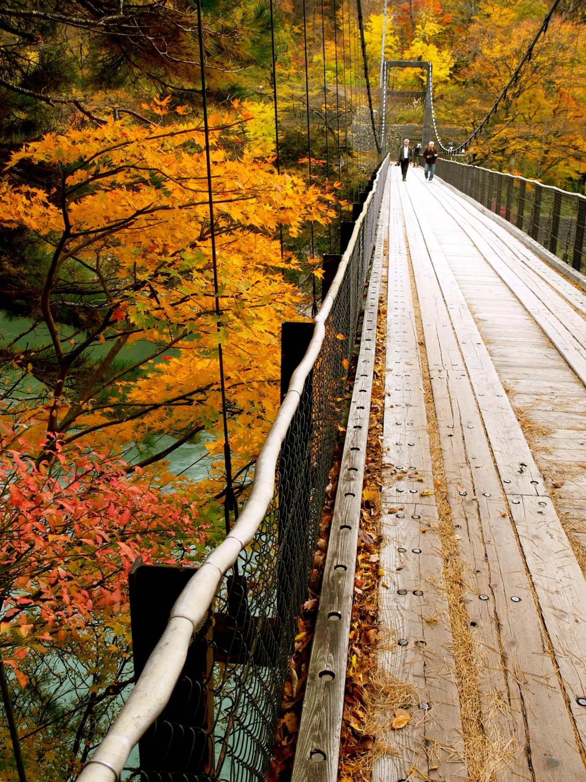 Area and facilities in Takanosukan