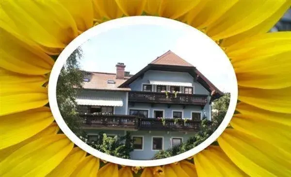 Appartement Resch Appartement Resch